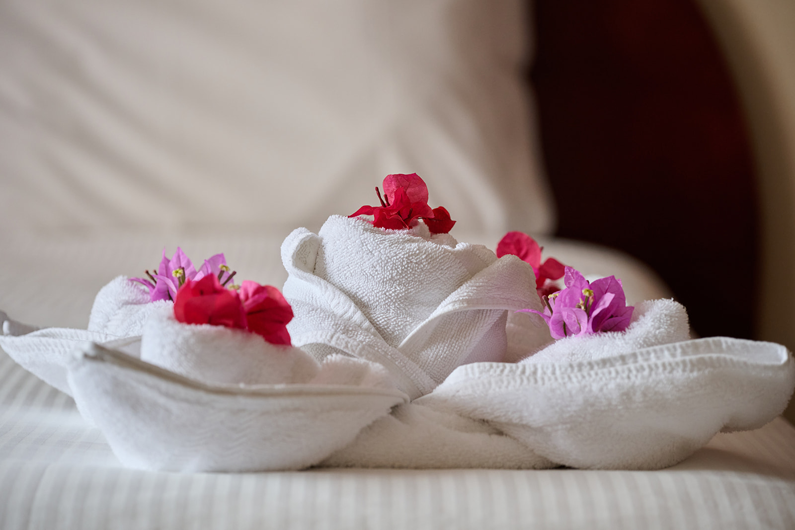 Twin Garden View with Balcony