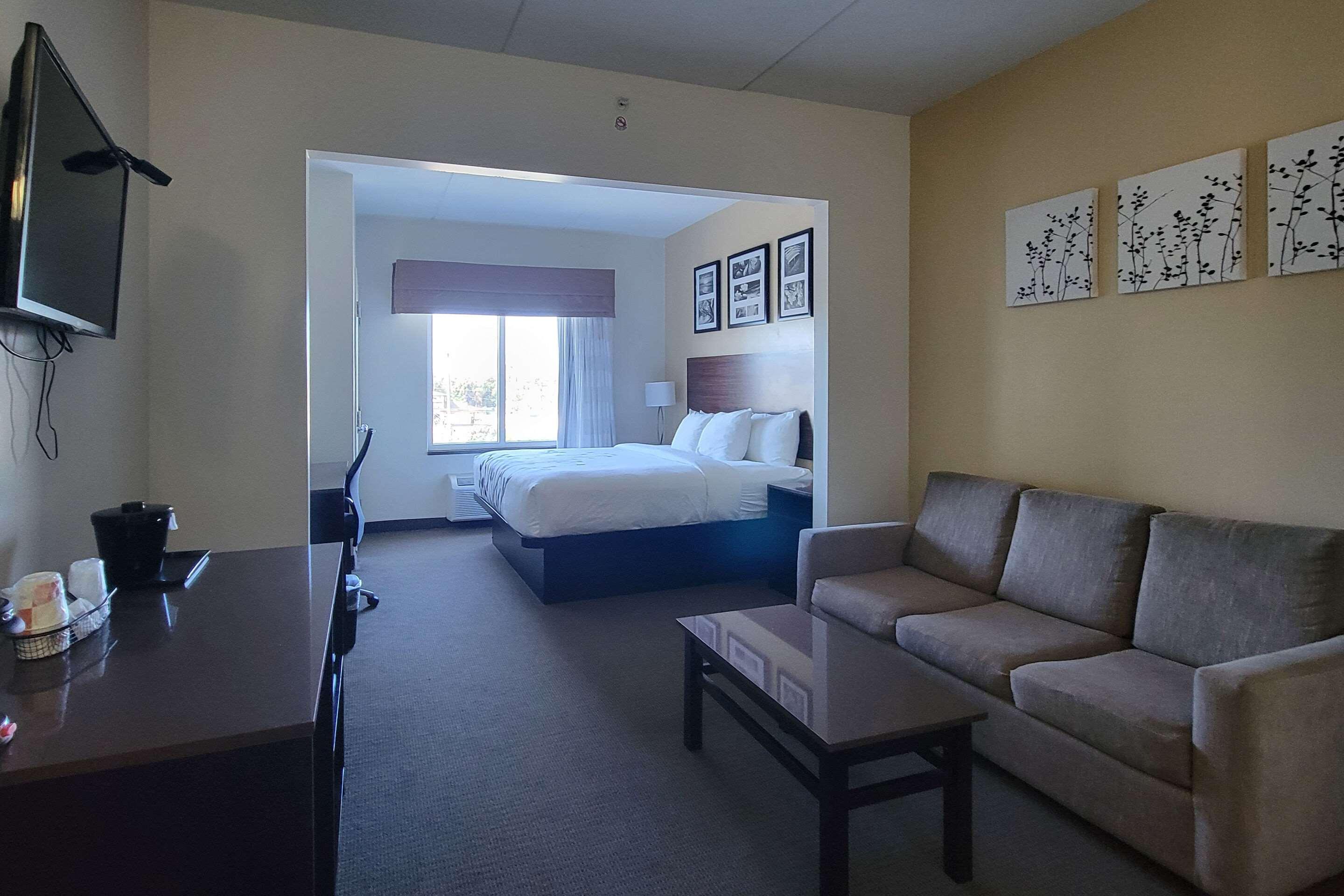 Suite King Bed Non Smoking