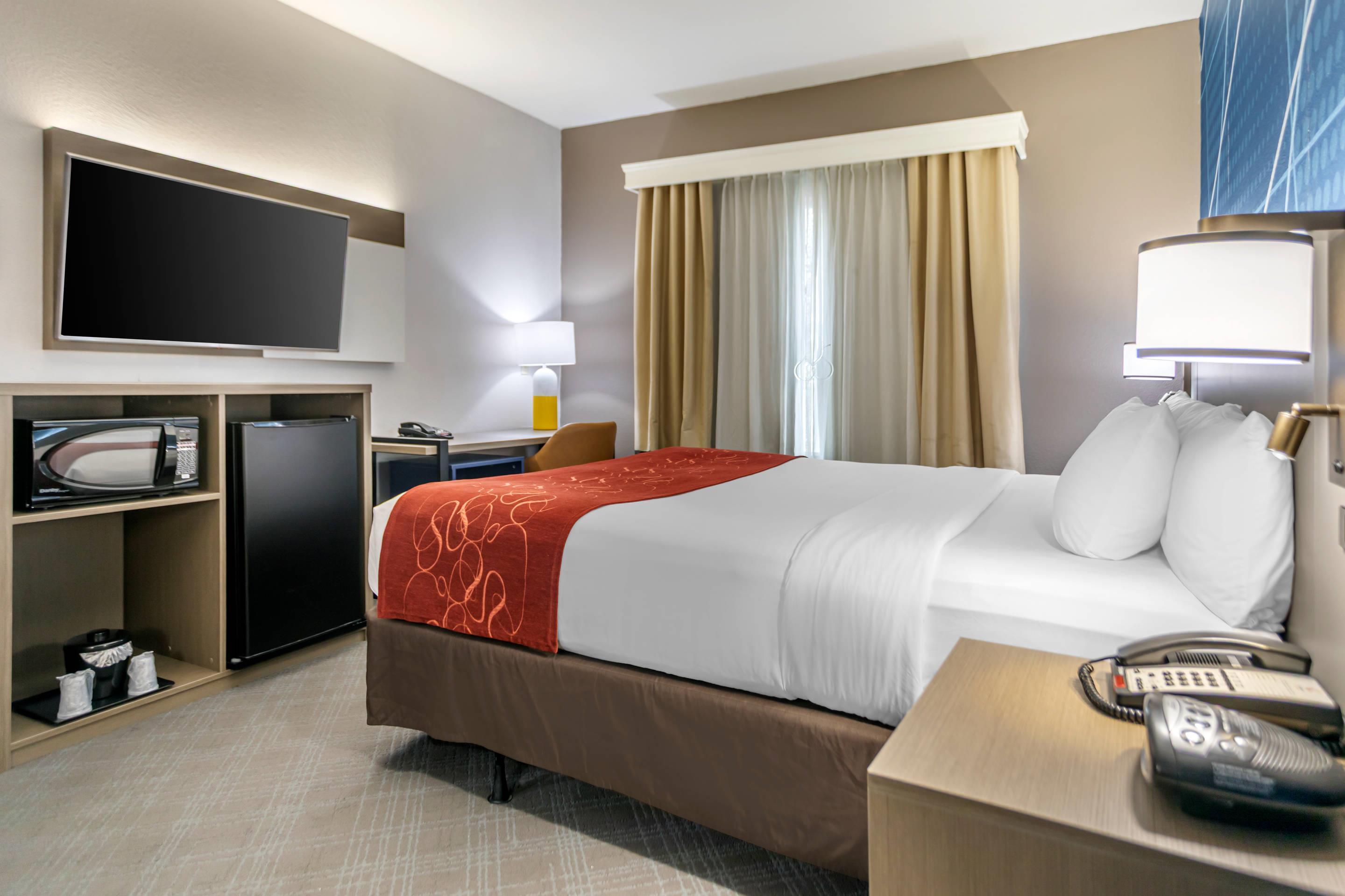 Suite King Bed Non Smoking