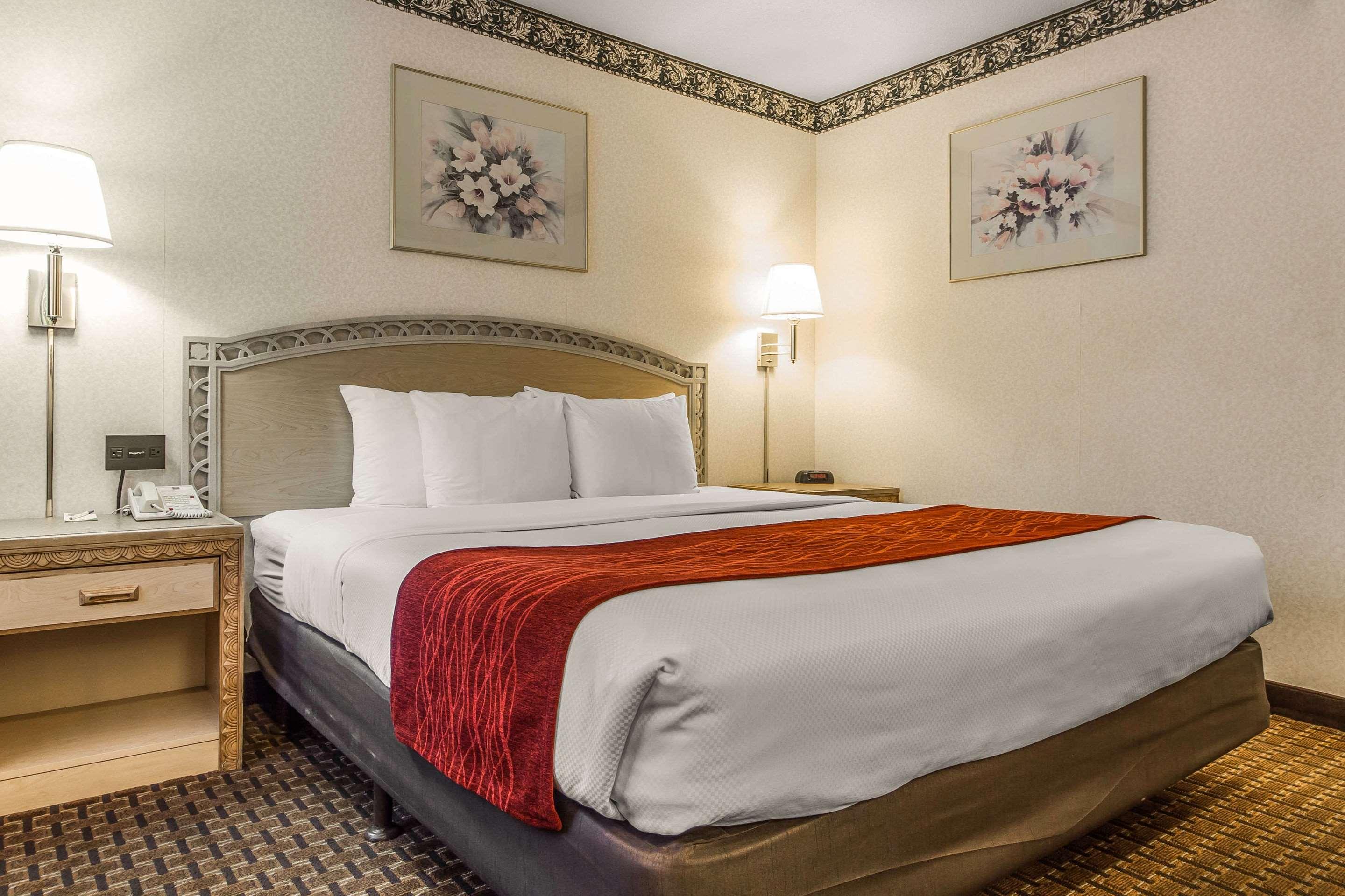 Double King Bed Non Smoking