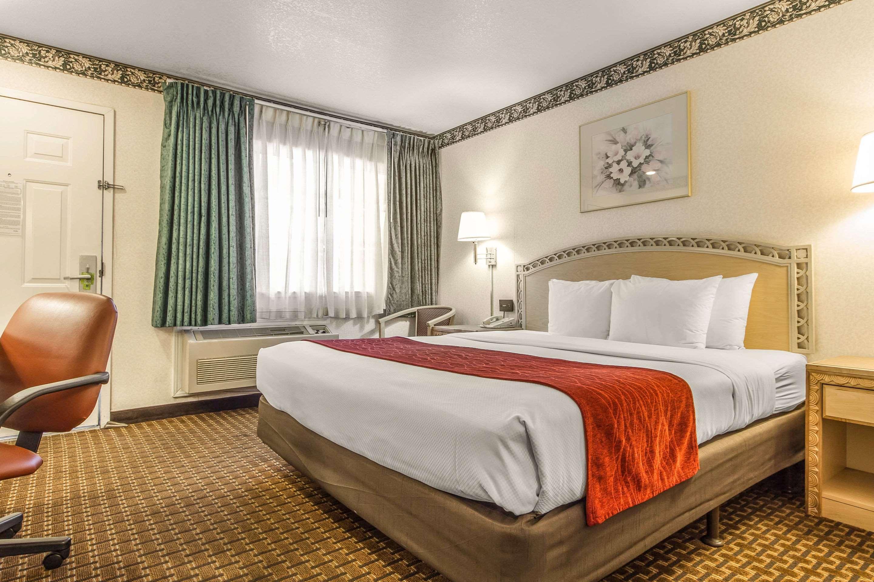 Double King Bed Non Smoking