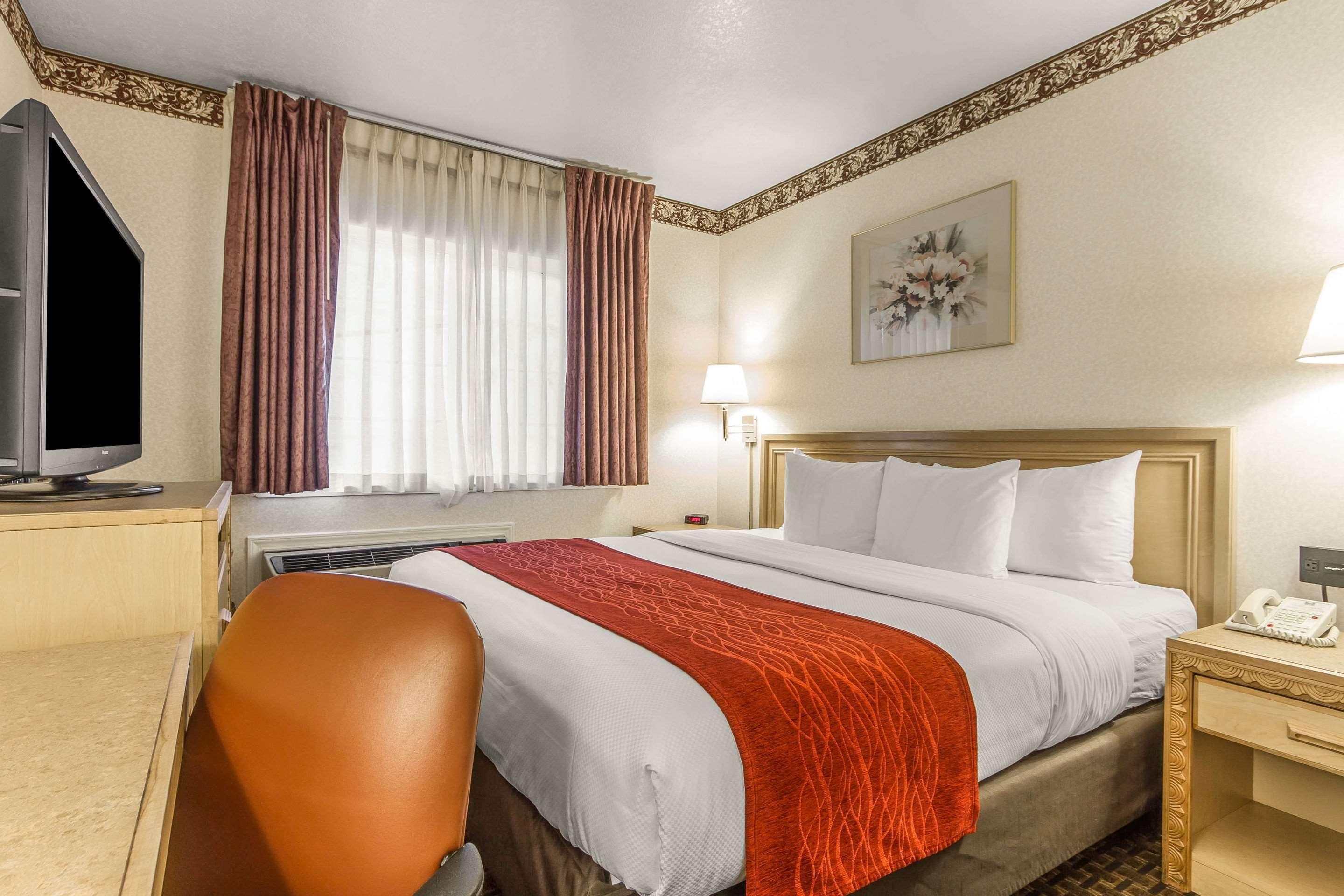 Double Queen Size Bed