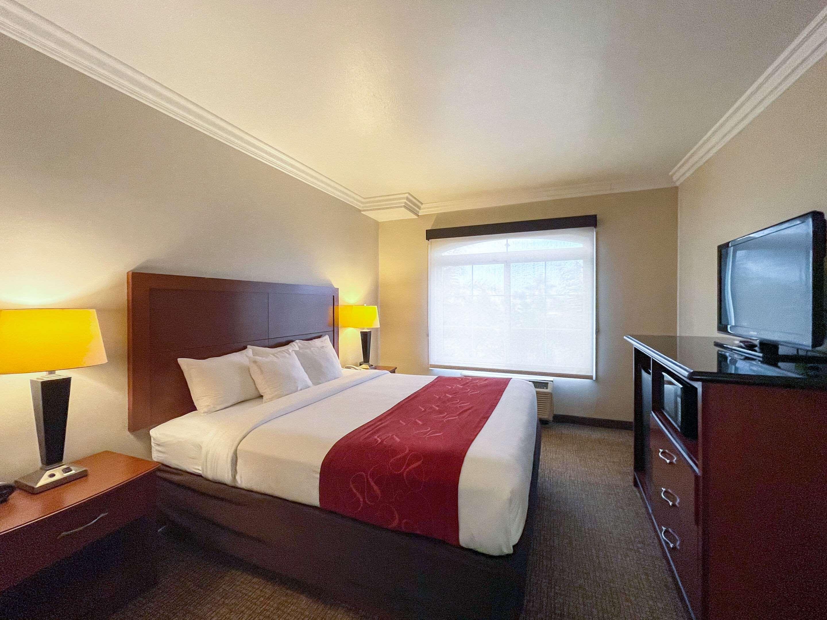 Suite King Bed Non Smoking