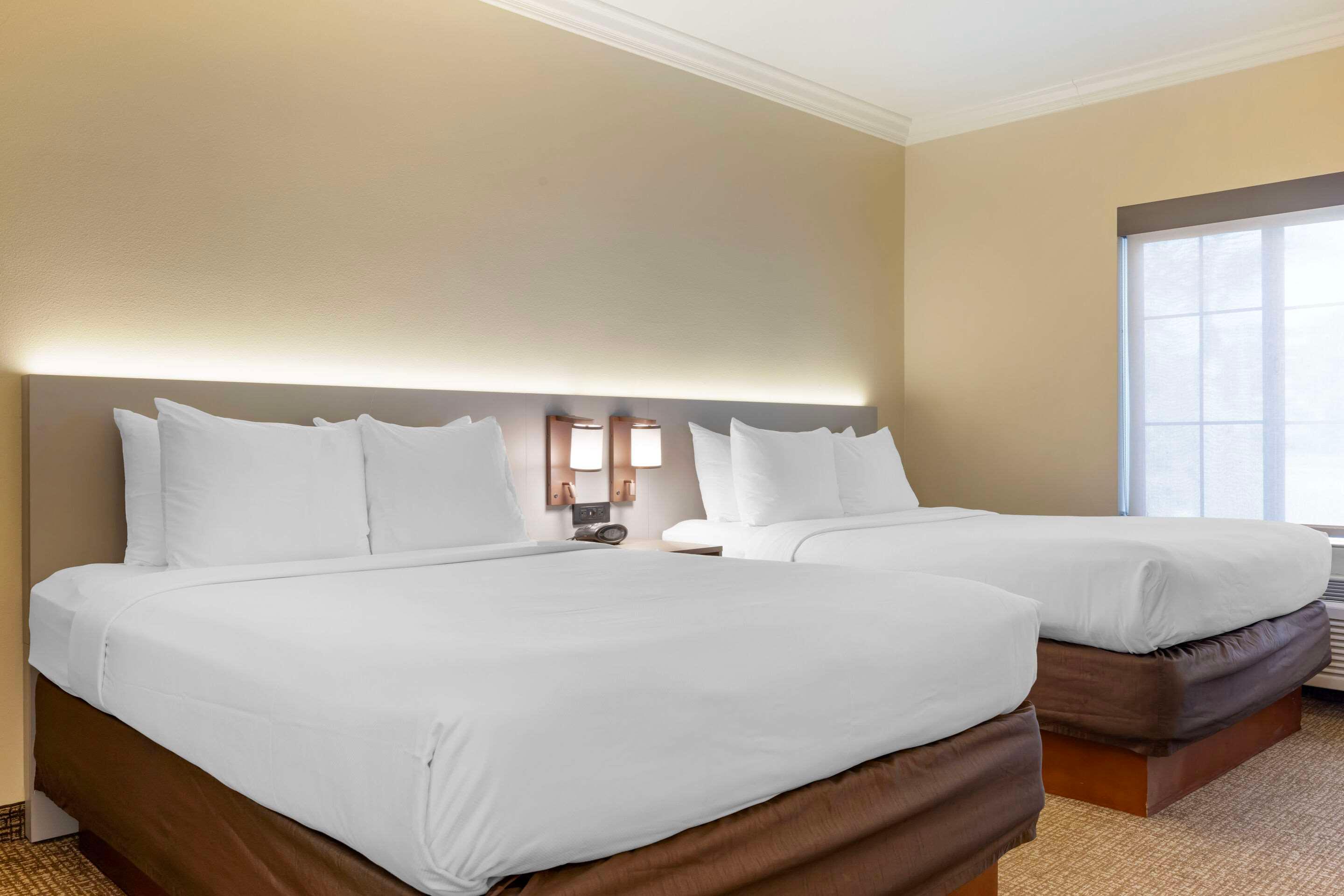 Suite Two Queen Beds