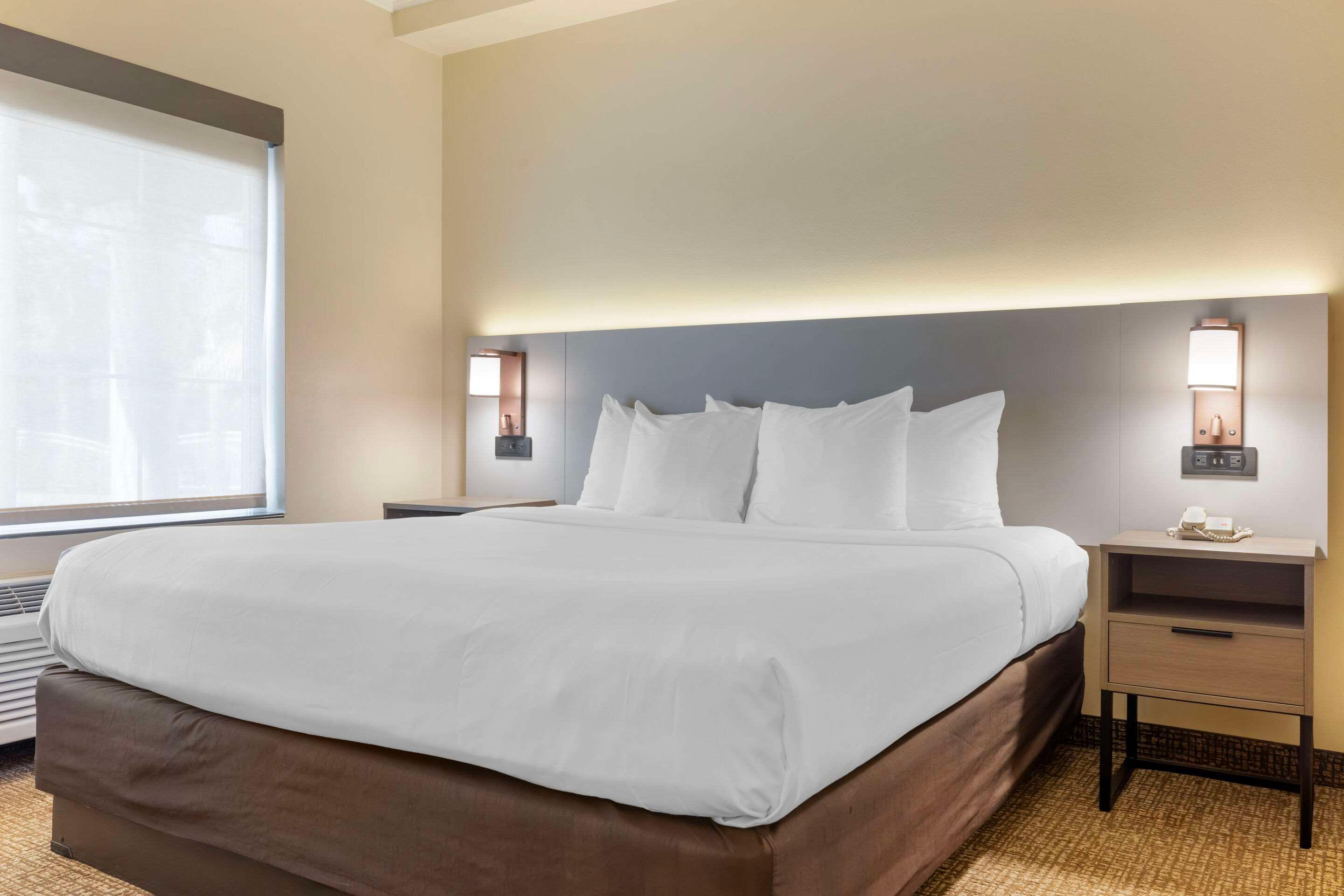 Suite King Bed Non Smoking