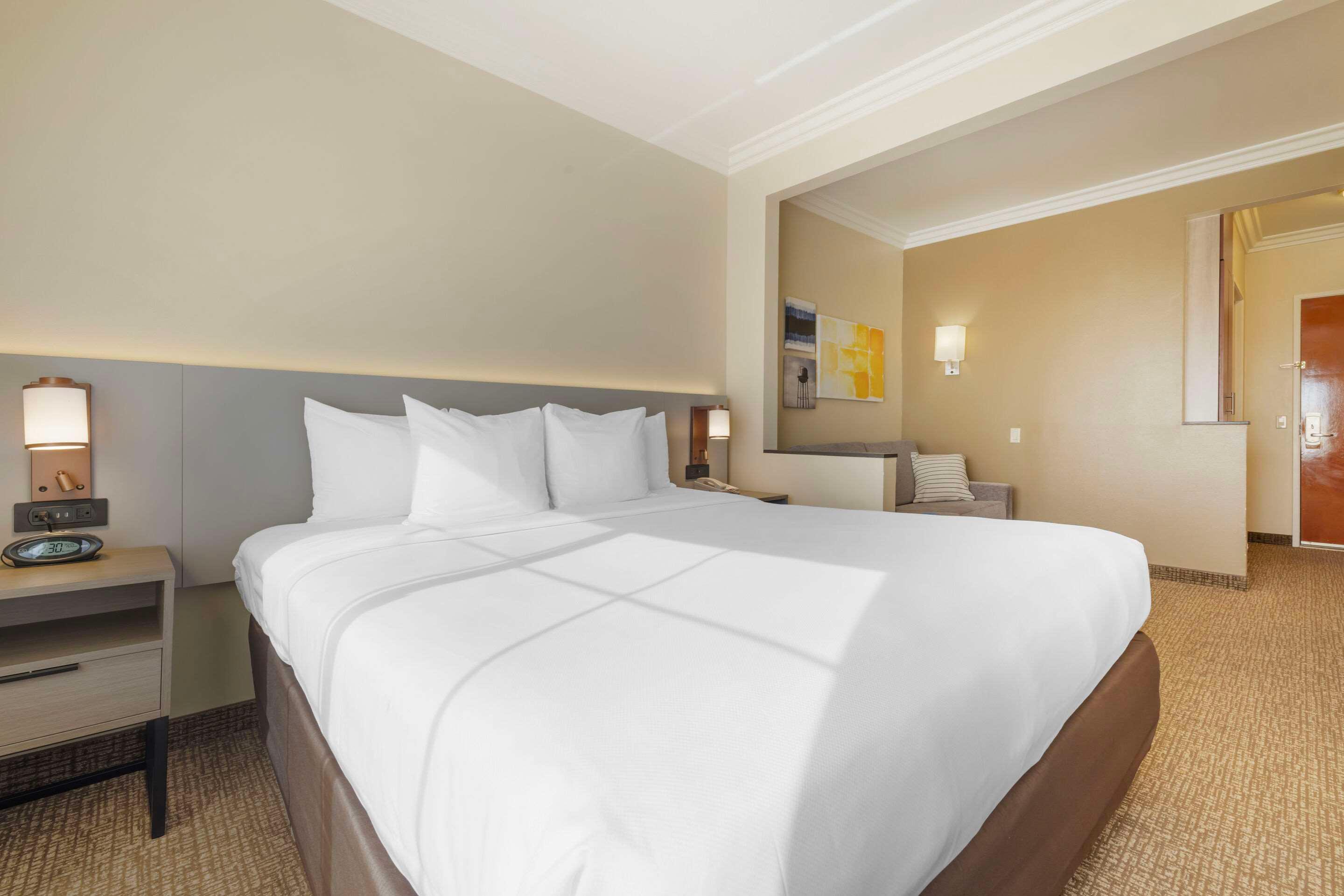 Suite King Bed Non Smoking