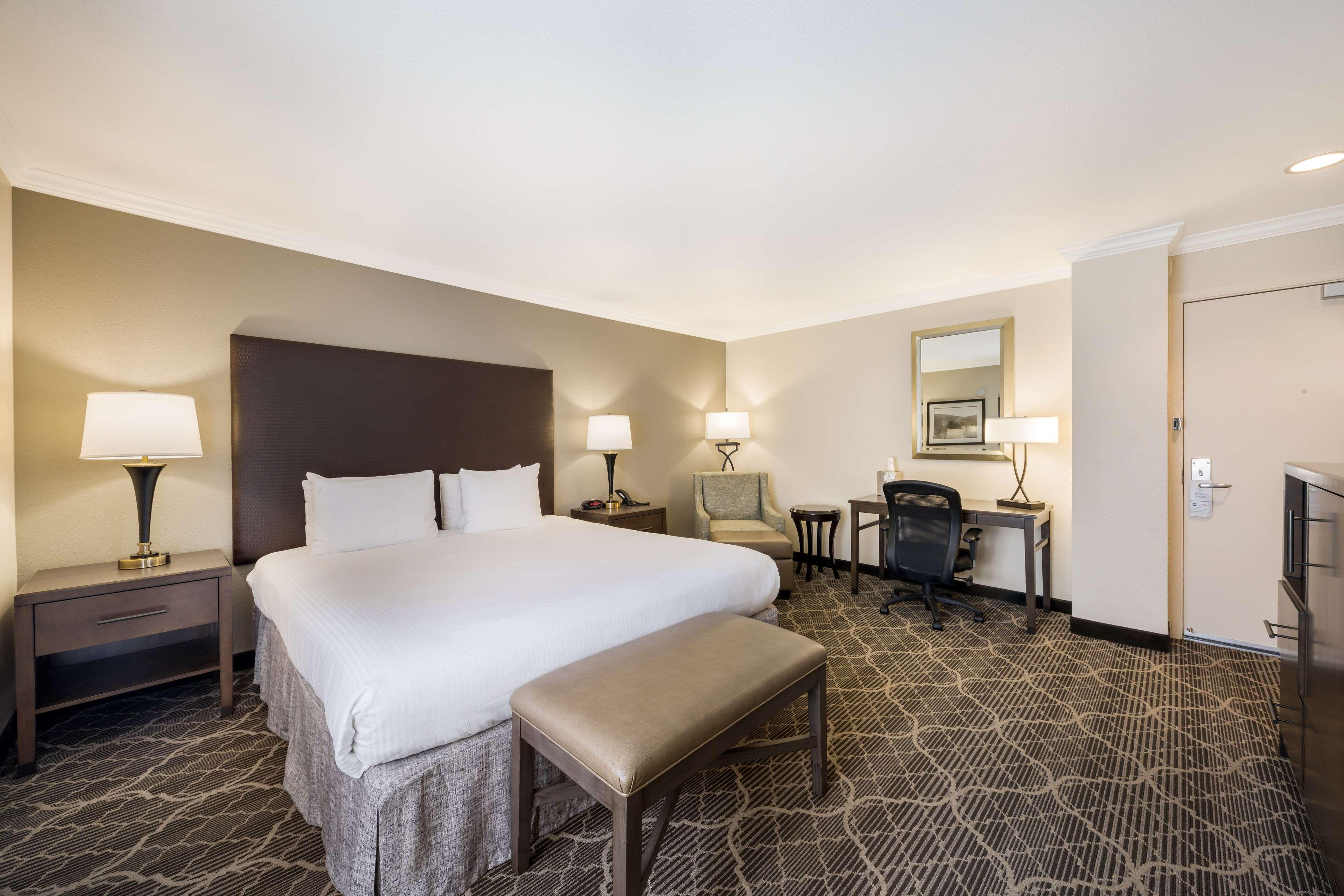 Suite King Bed Non Smoking