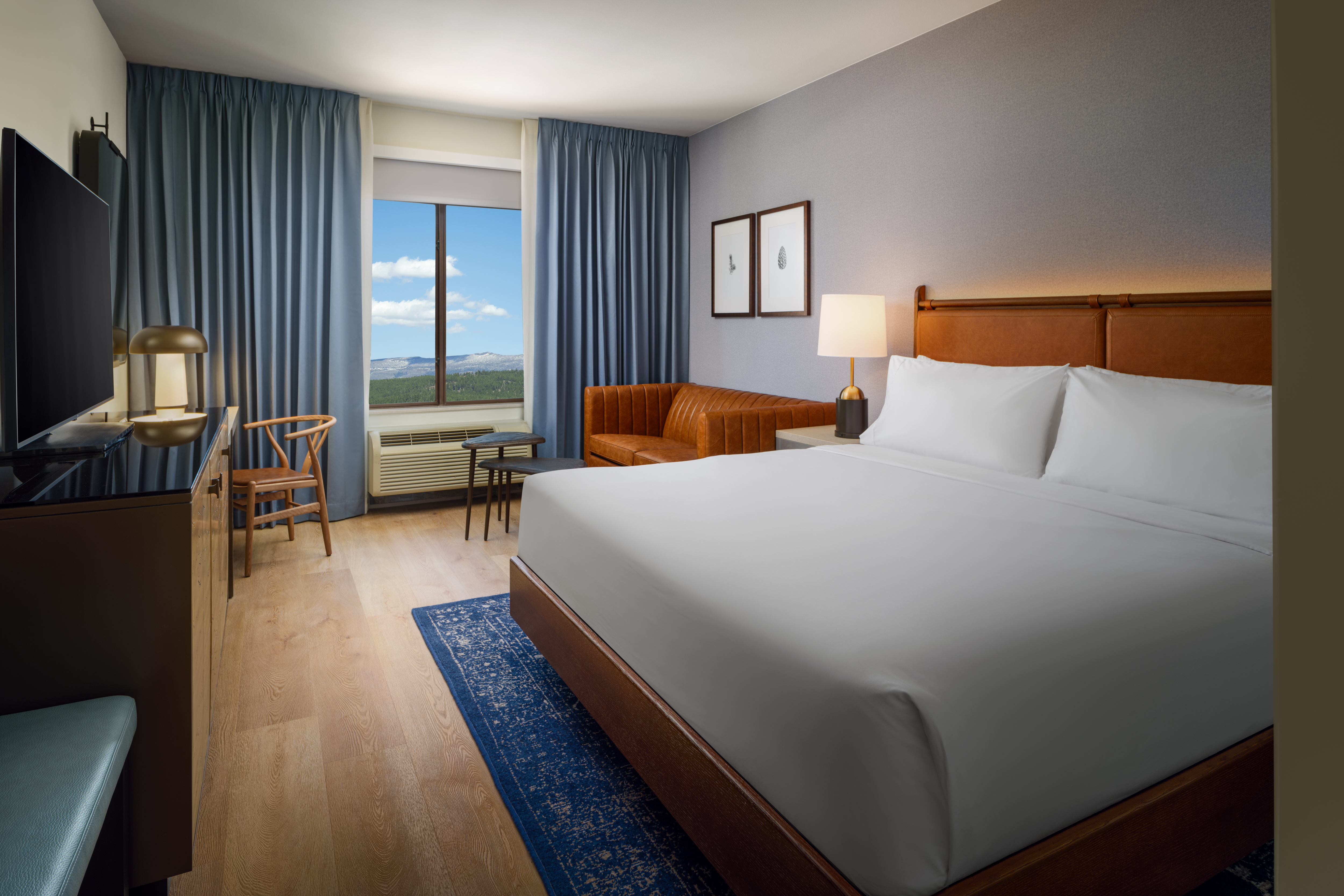 Double Accessible King Size Bed