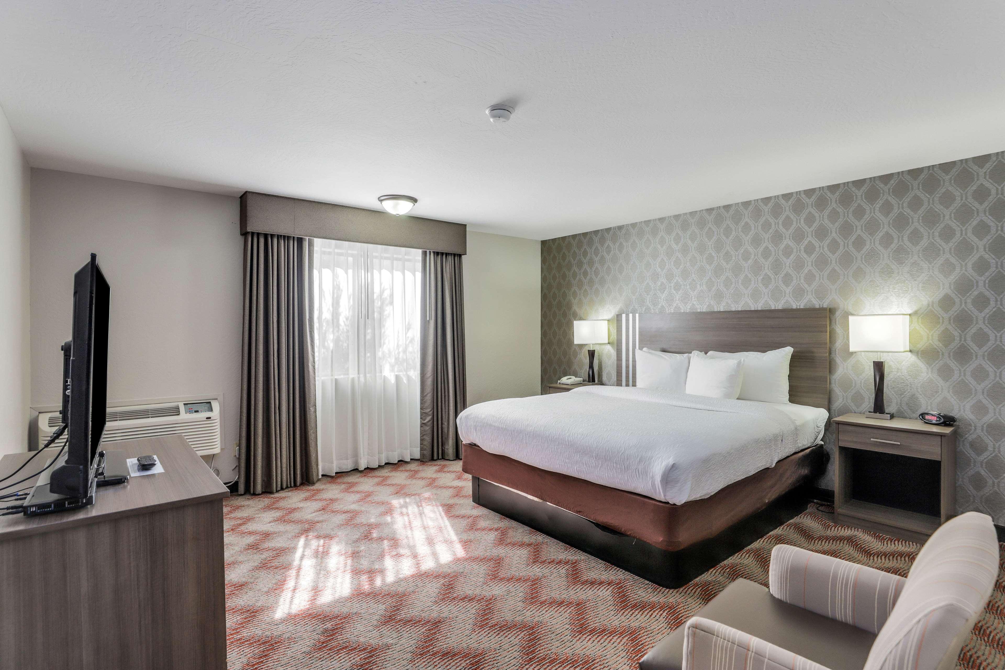 Suite King Bed Non Smoking