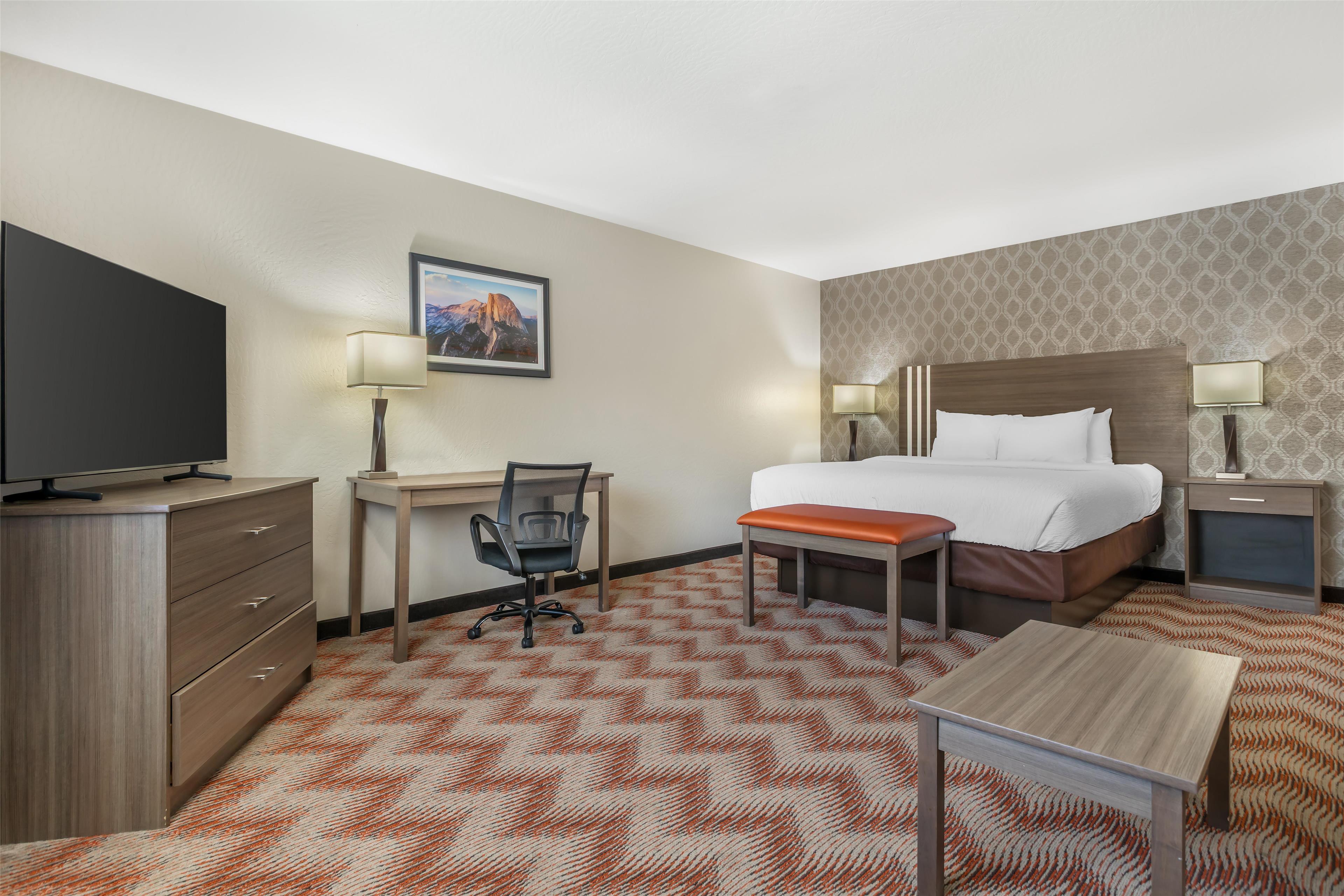 Suite King Bed Non Smoking