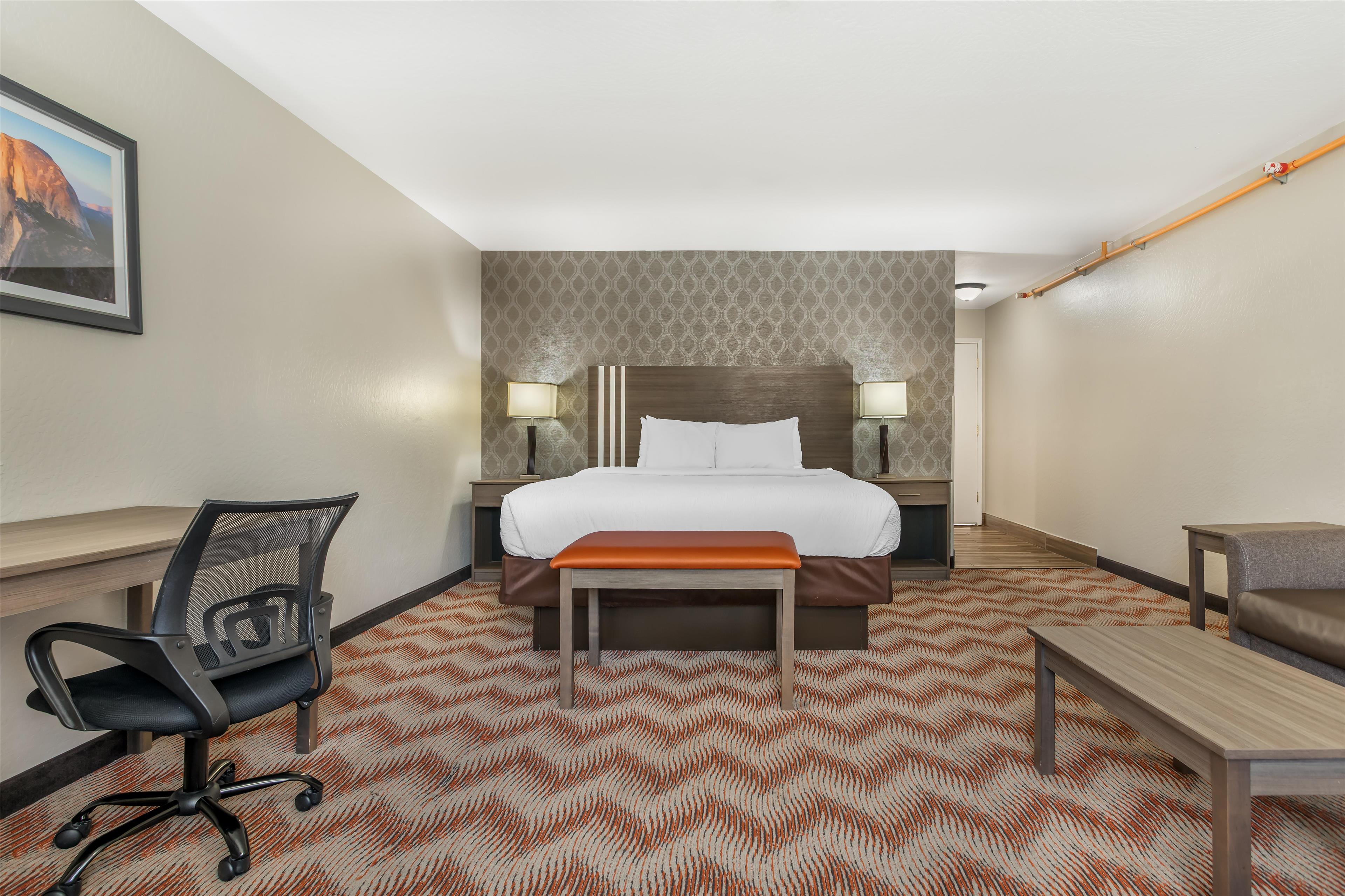 Suite King Bed Non Smoking