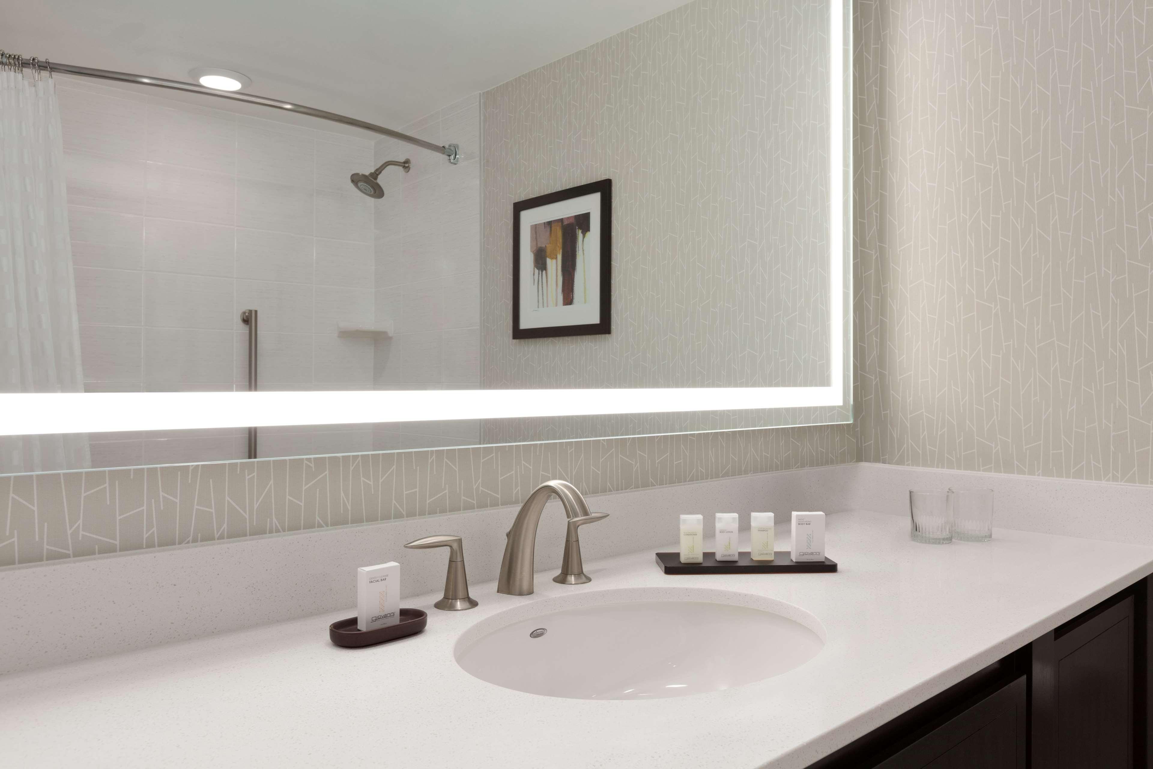 Suite King Bed Non Smoking