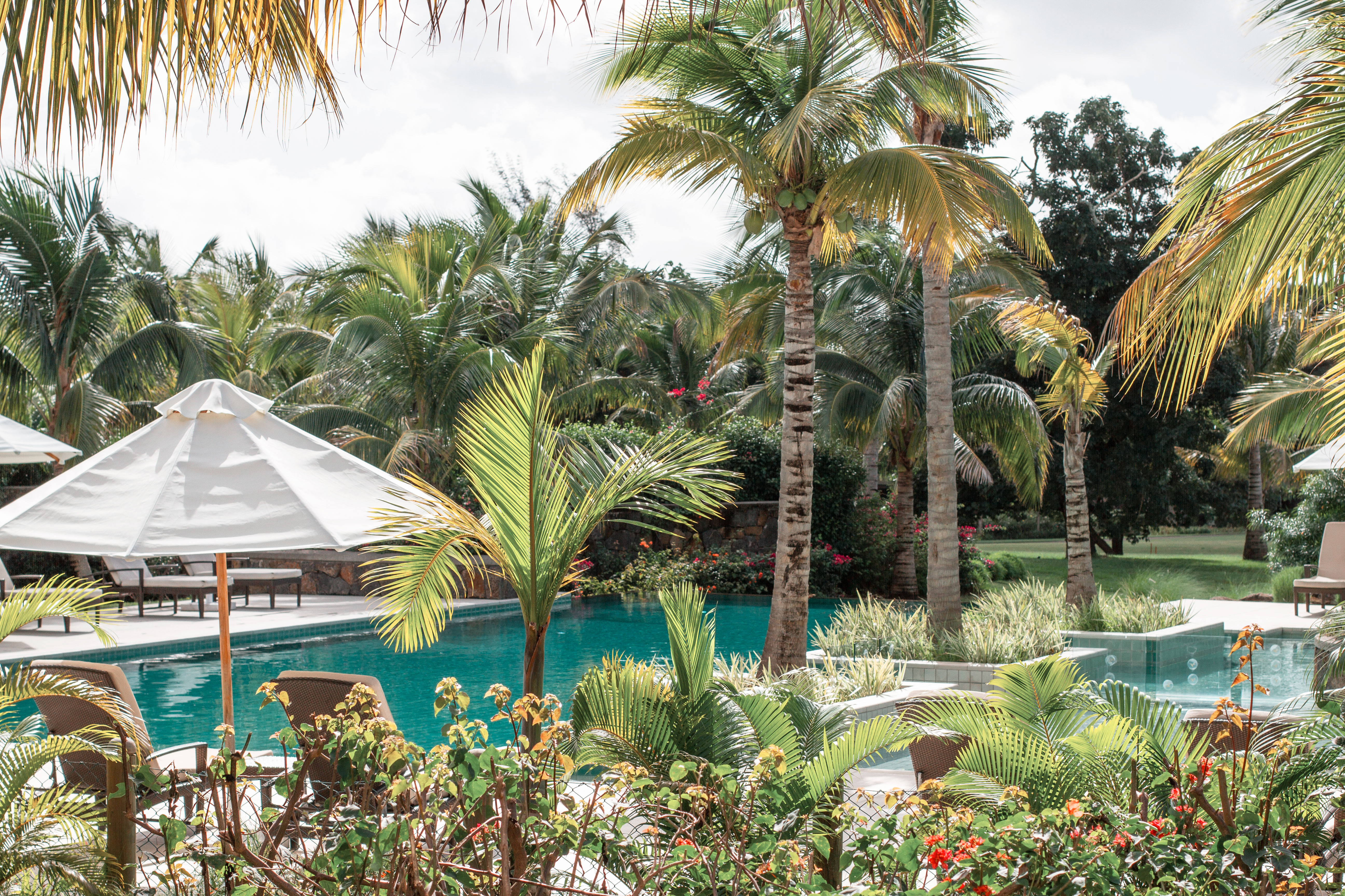 Junior Suite Garden View One Bedroom