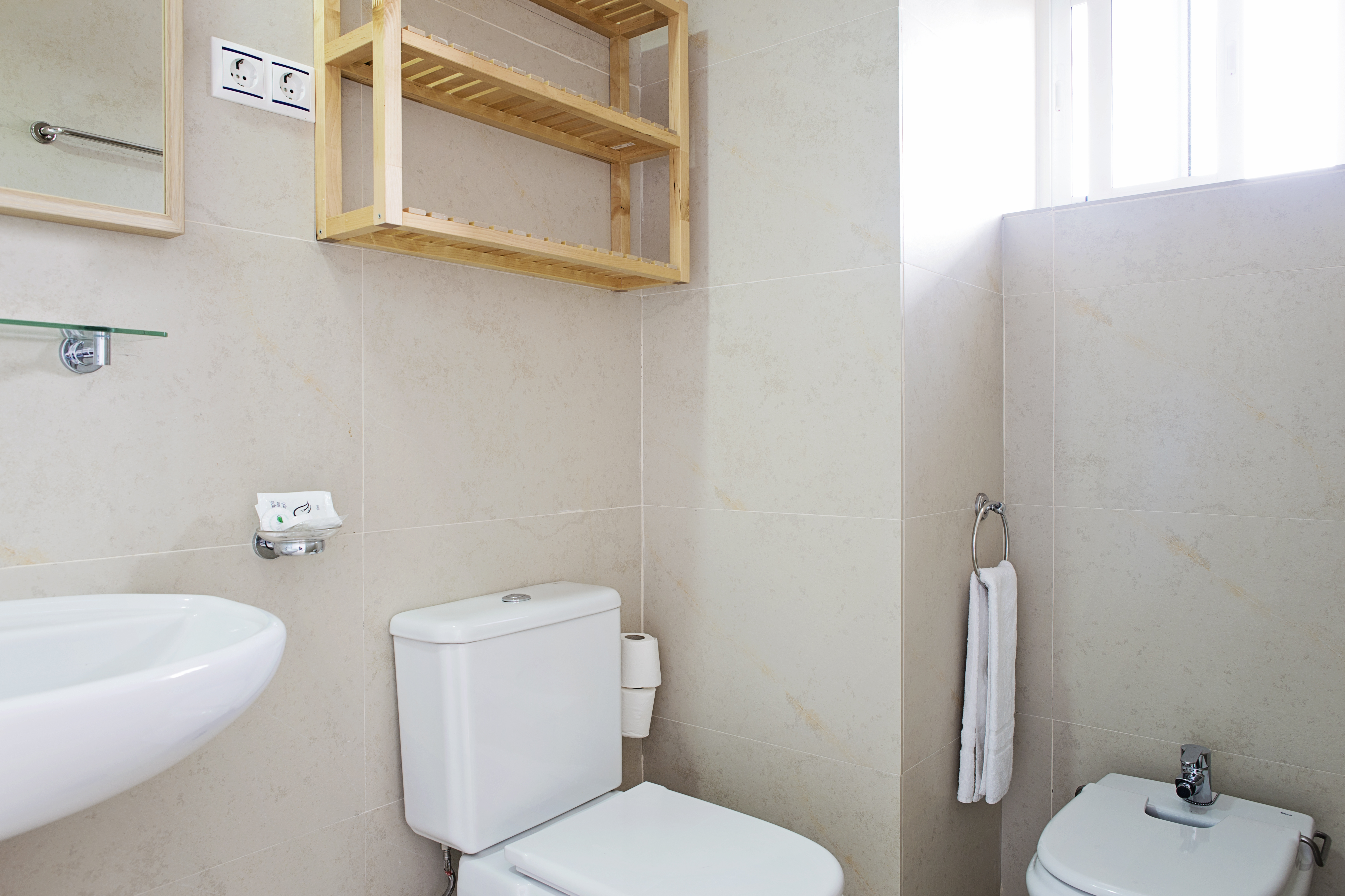 Double or Twin Economy