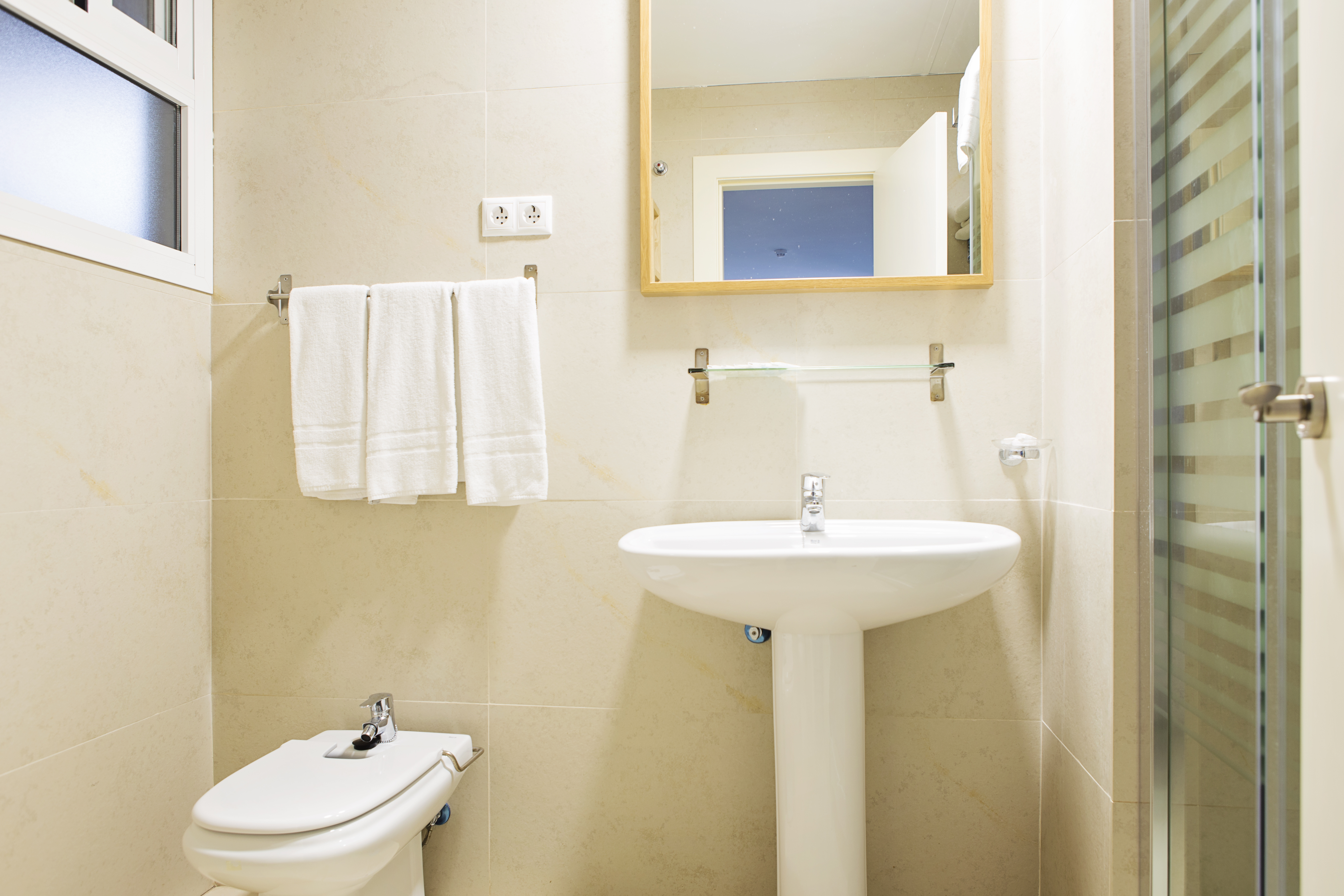 Double or Twin Economy