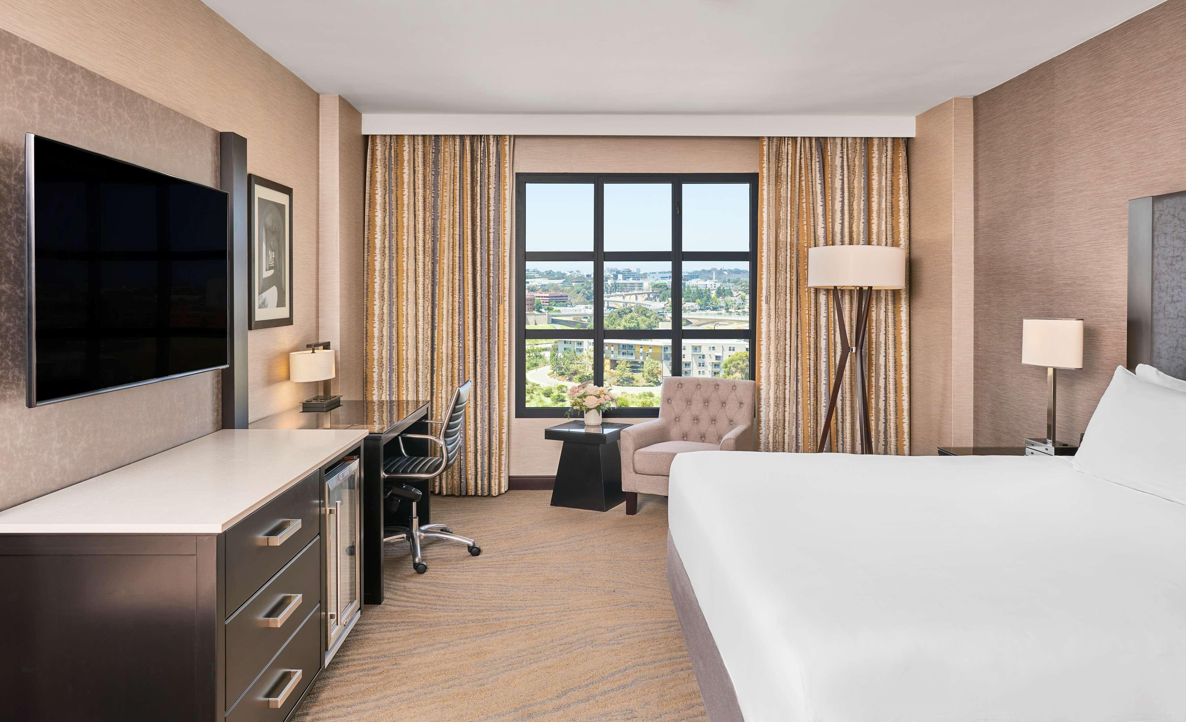 Double City View King Bed