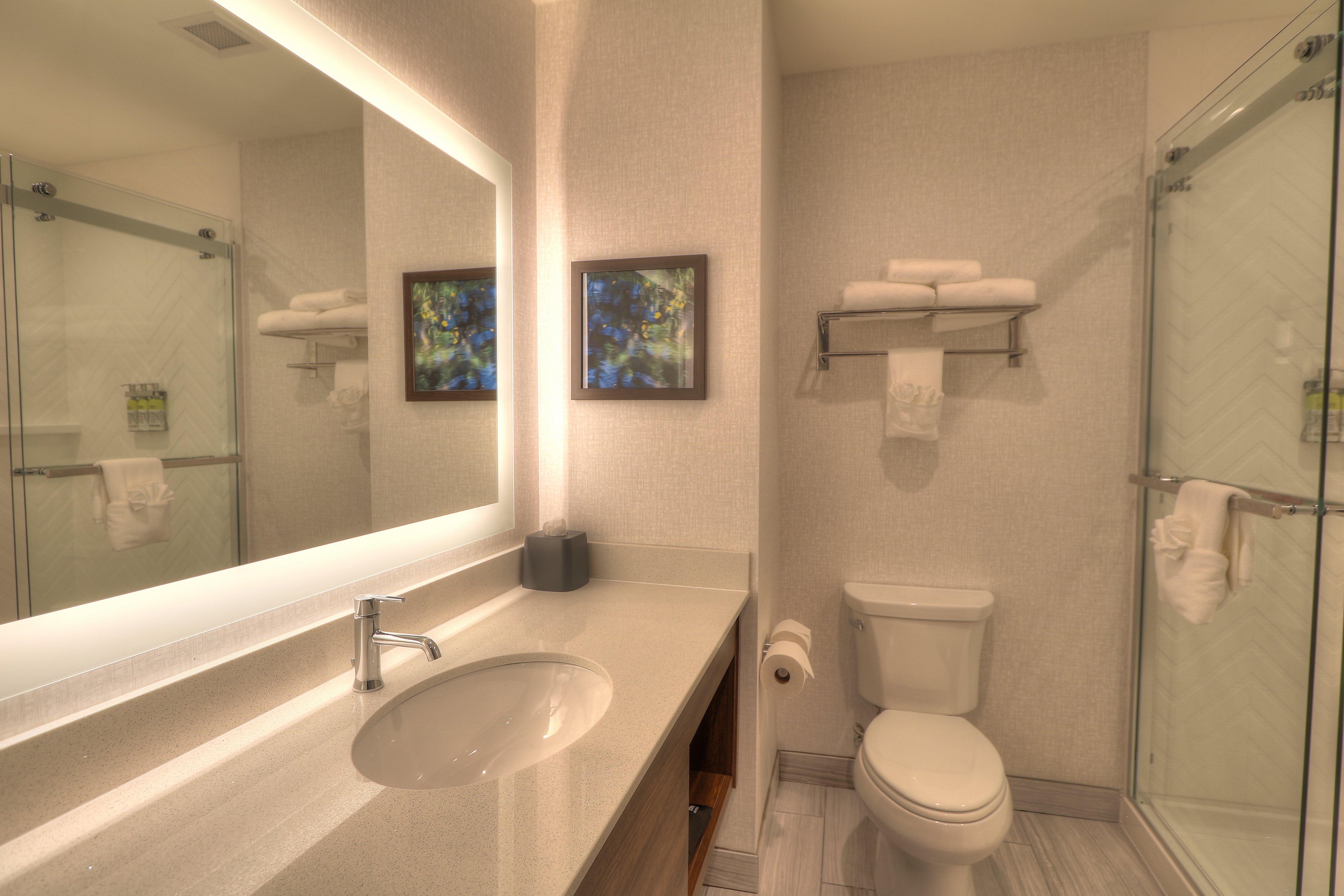 Suite Accessible King Size Bed