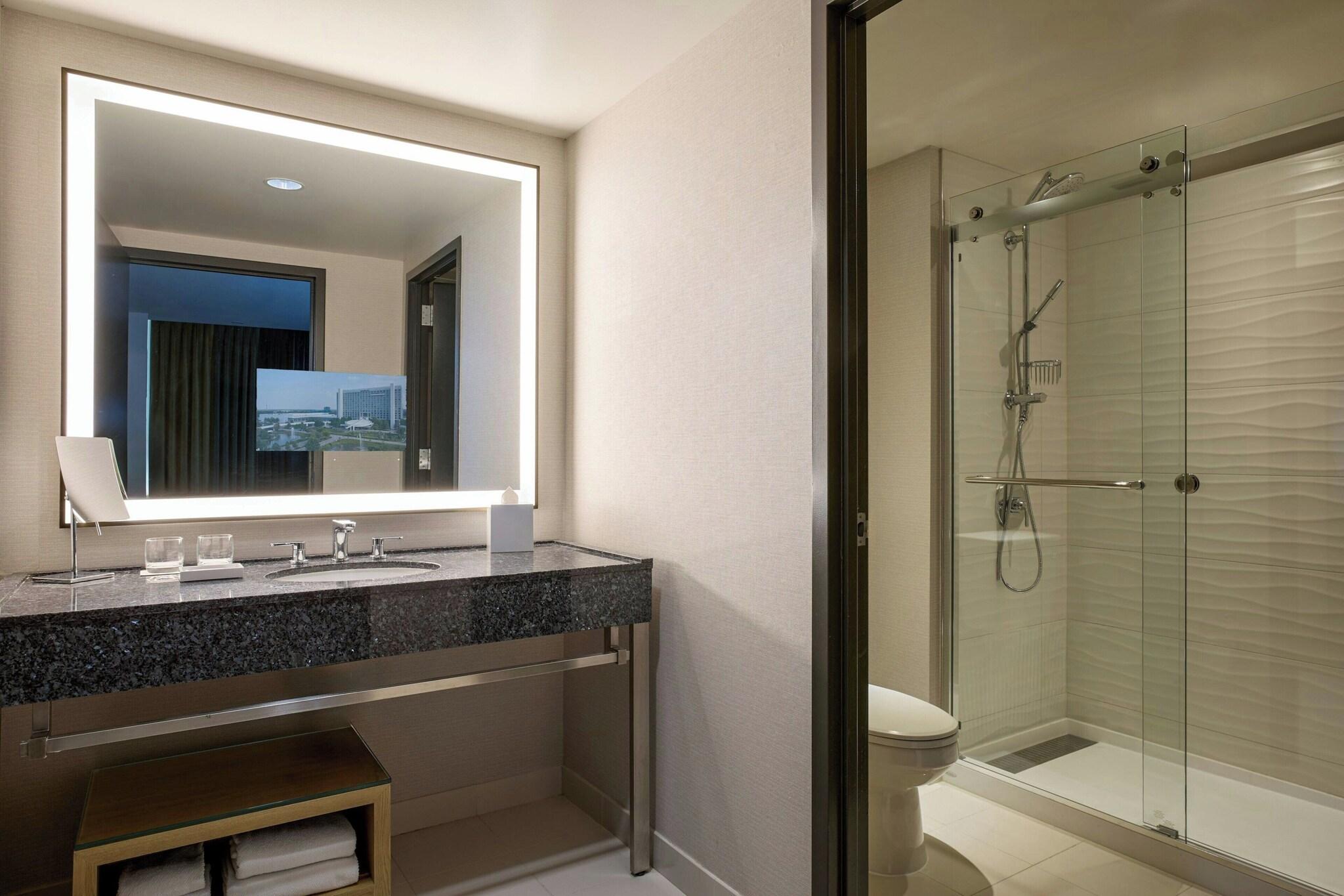 Suite King Bed One Bedroom 