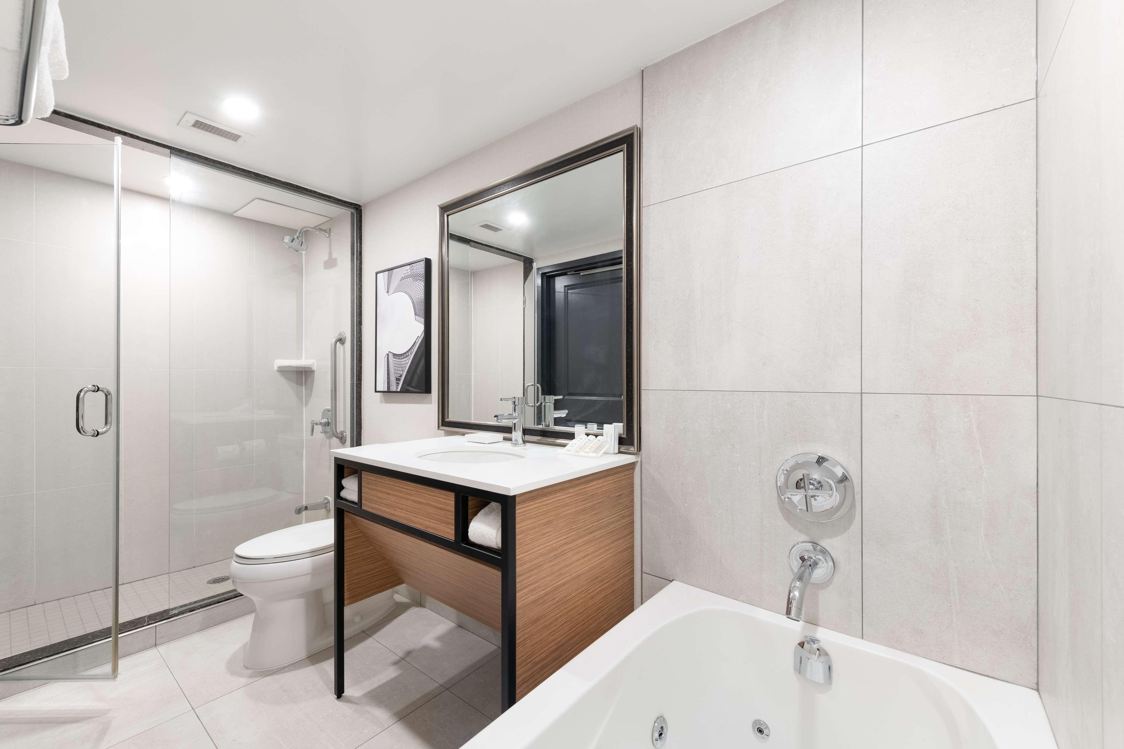 Suite King Bed One Bedroom 