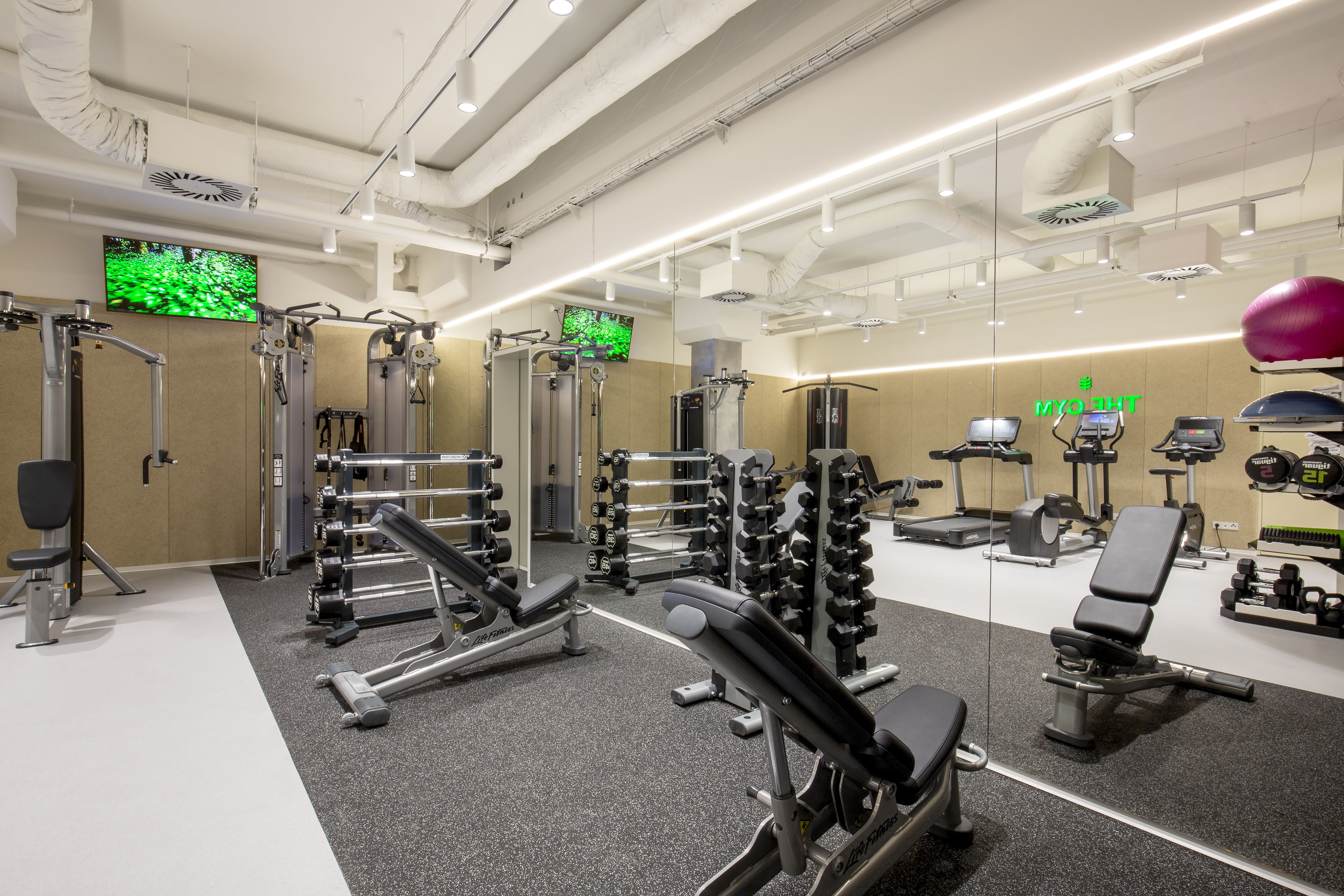 Sports and Entertainment