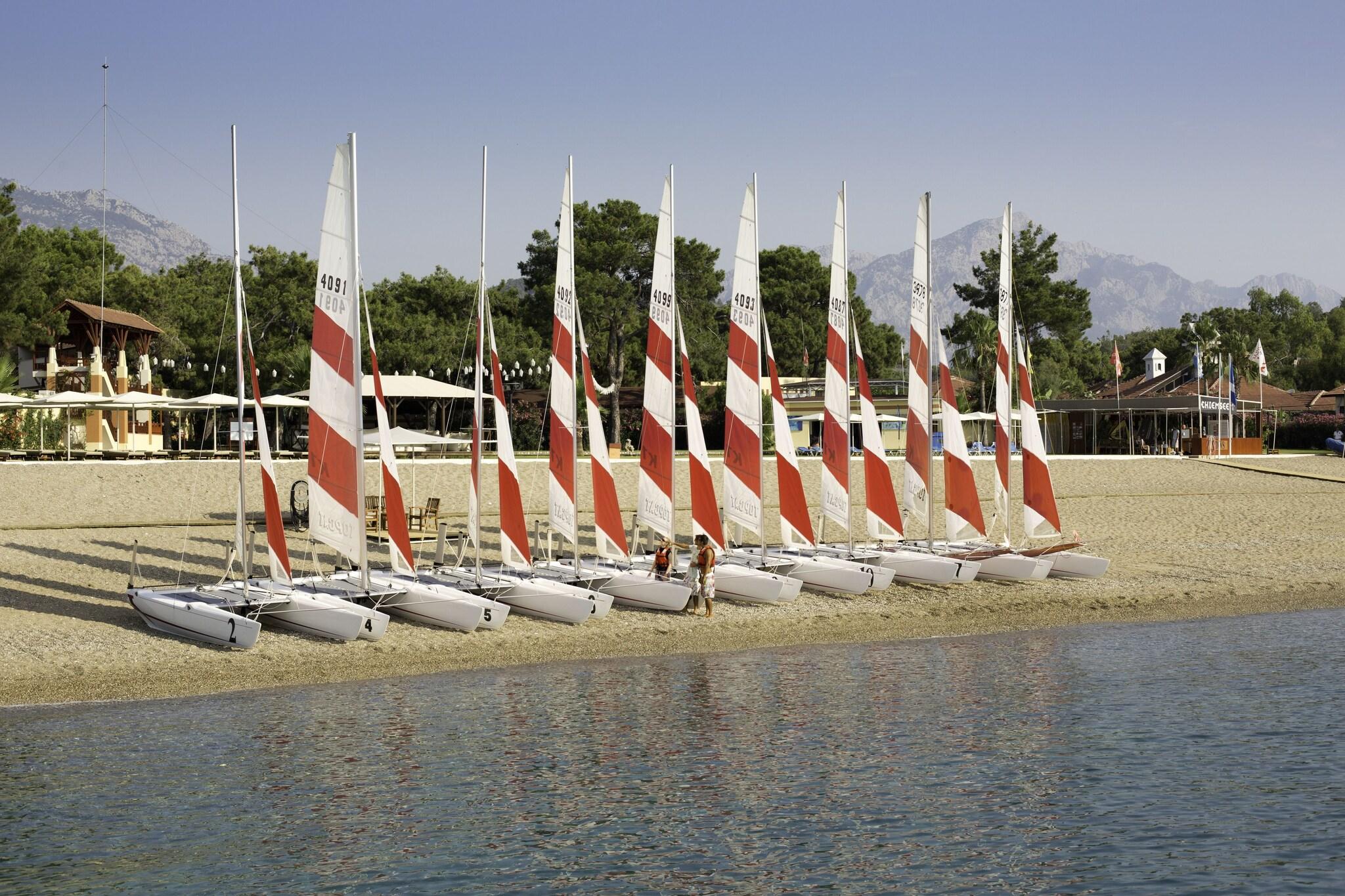 Sports and Entertainment