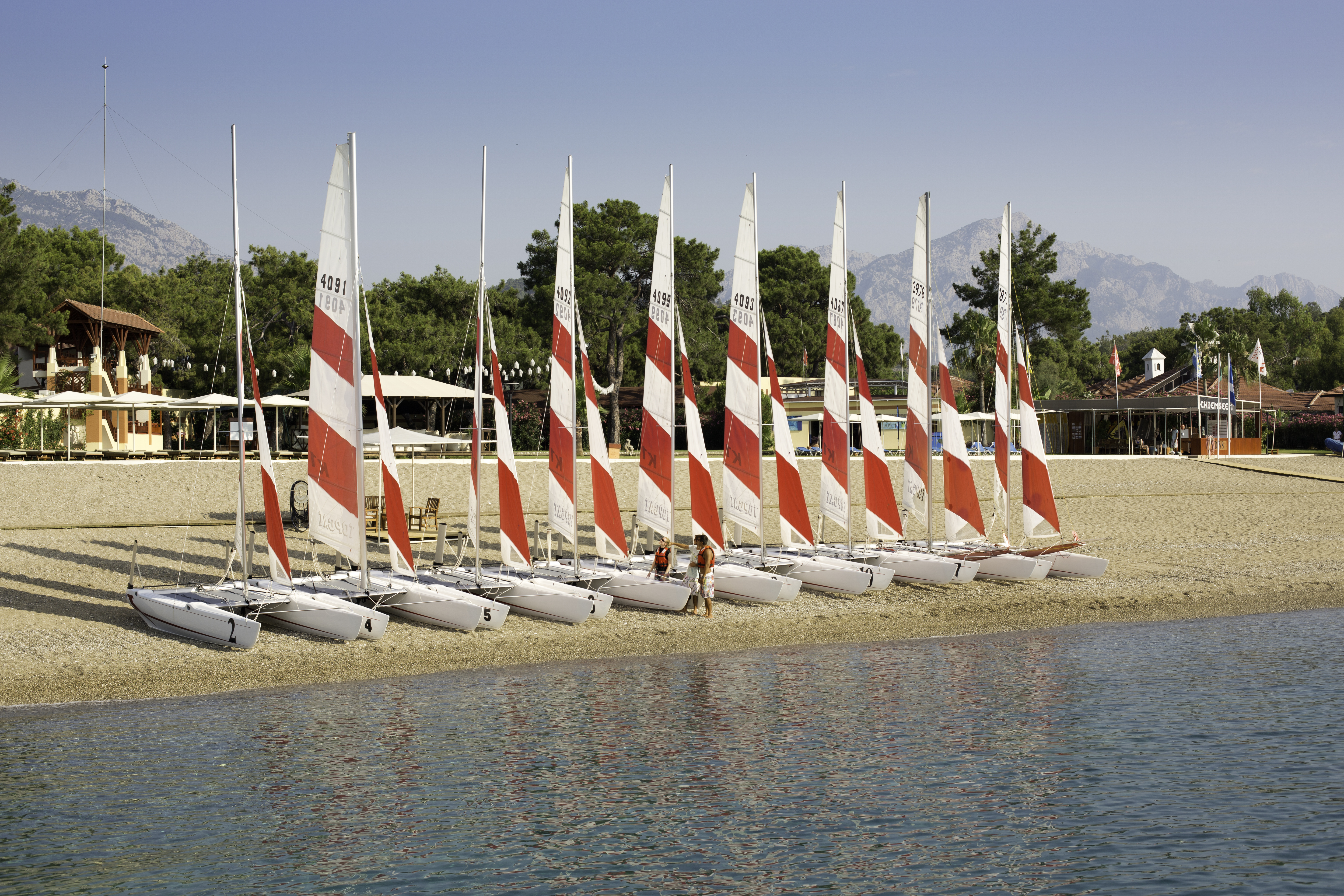 Sports and Entertainment