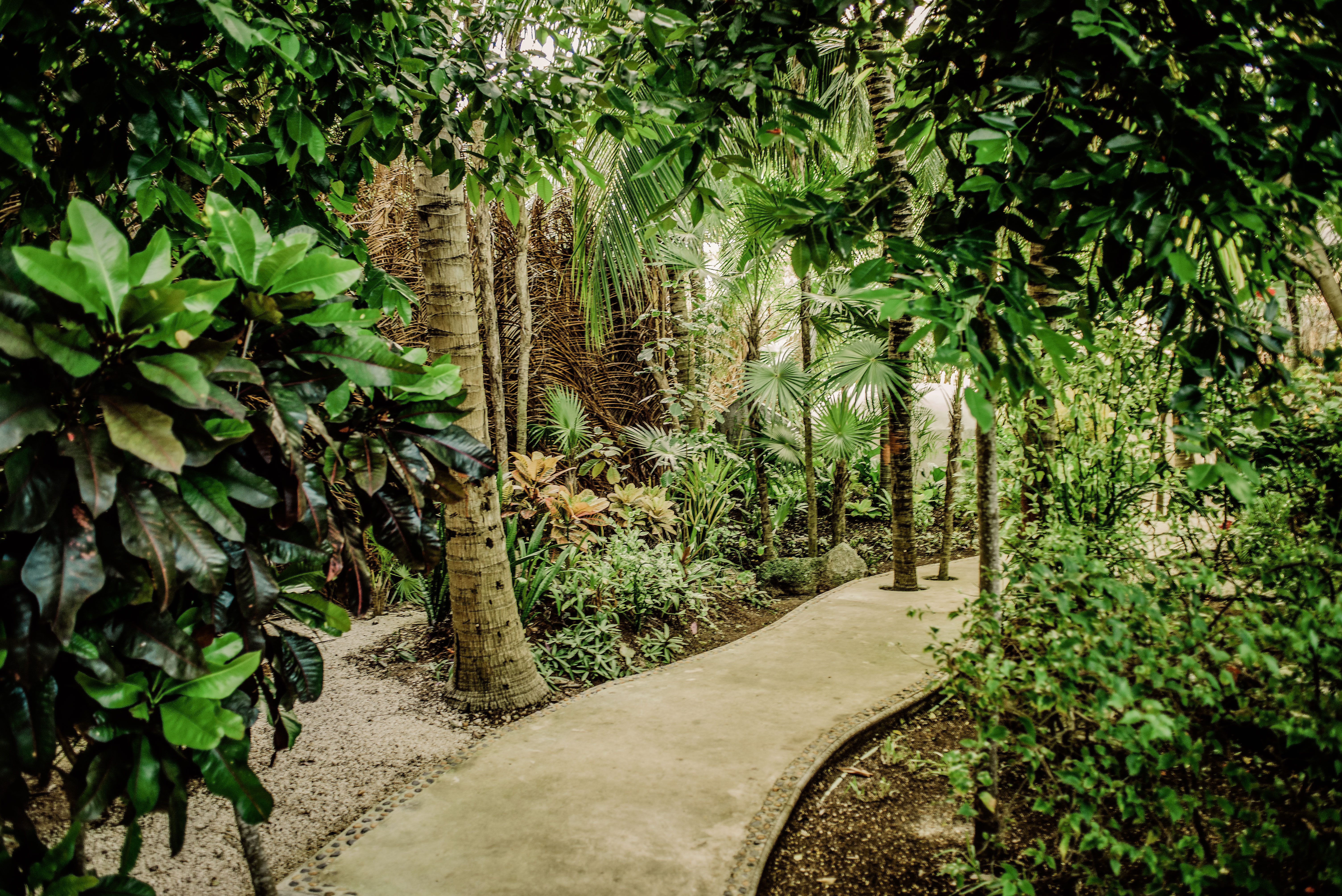 Bungalow Garden View