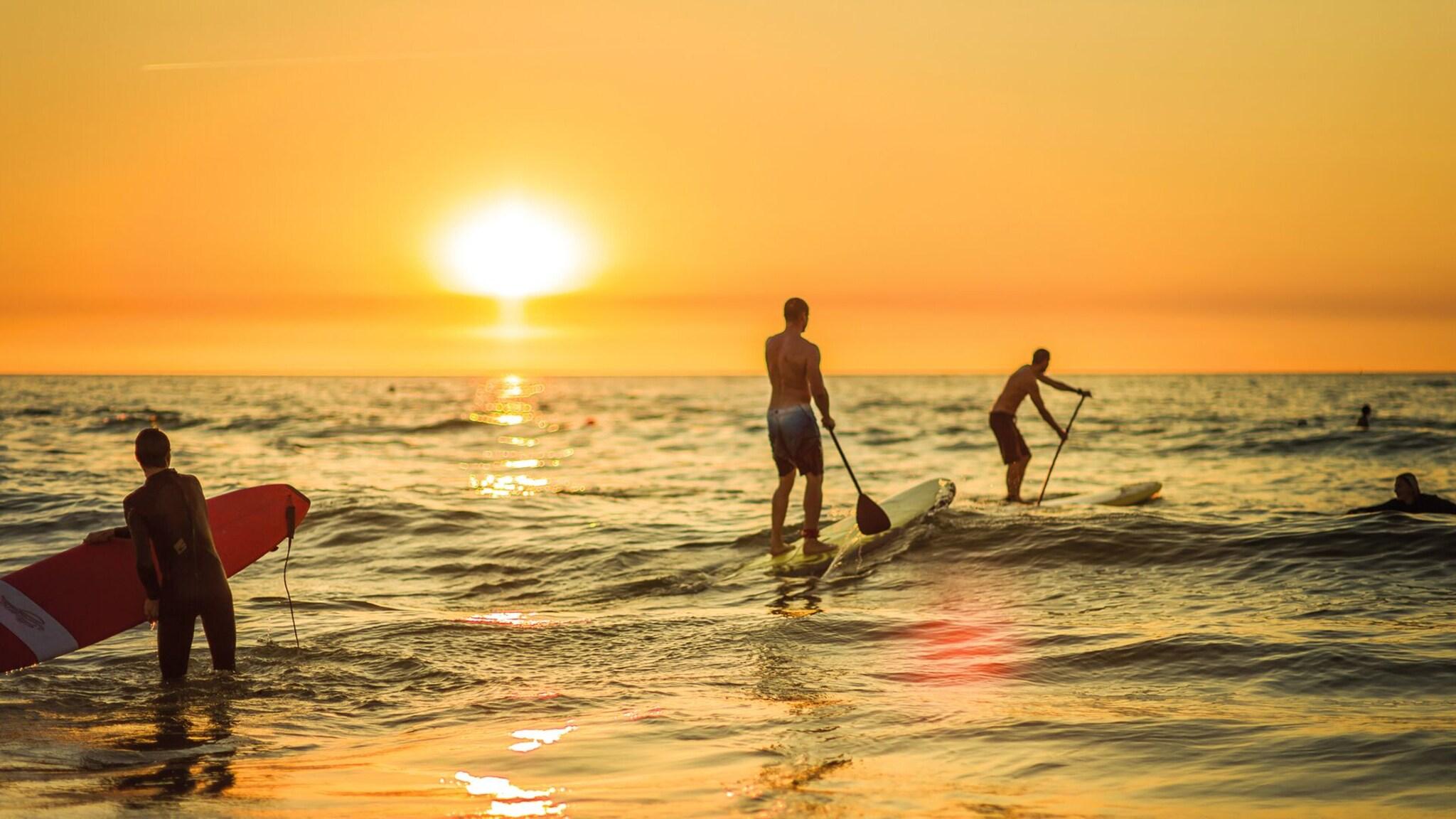 Sports and Entertainment