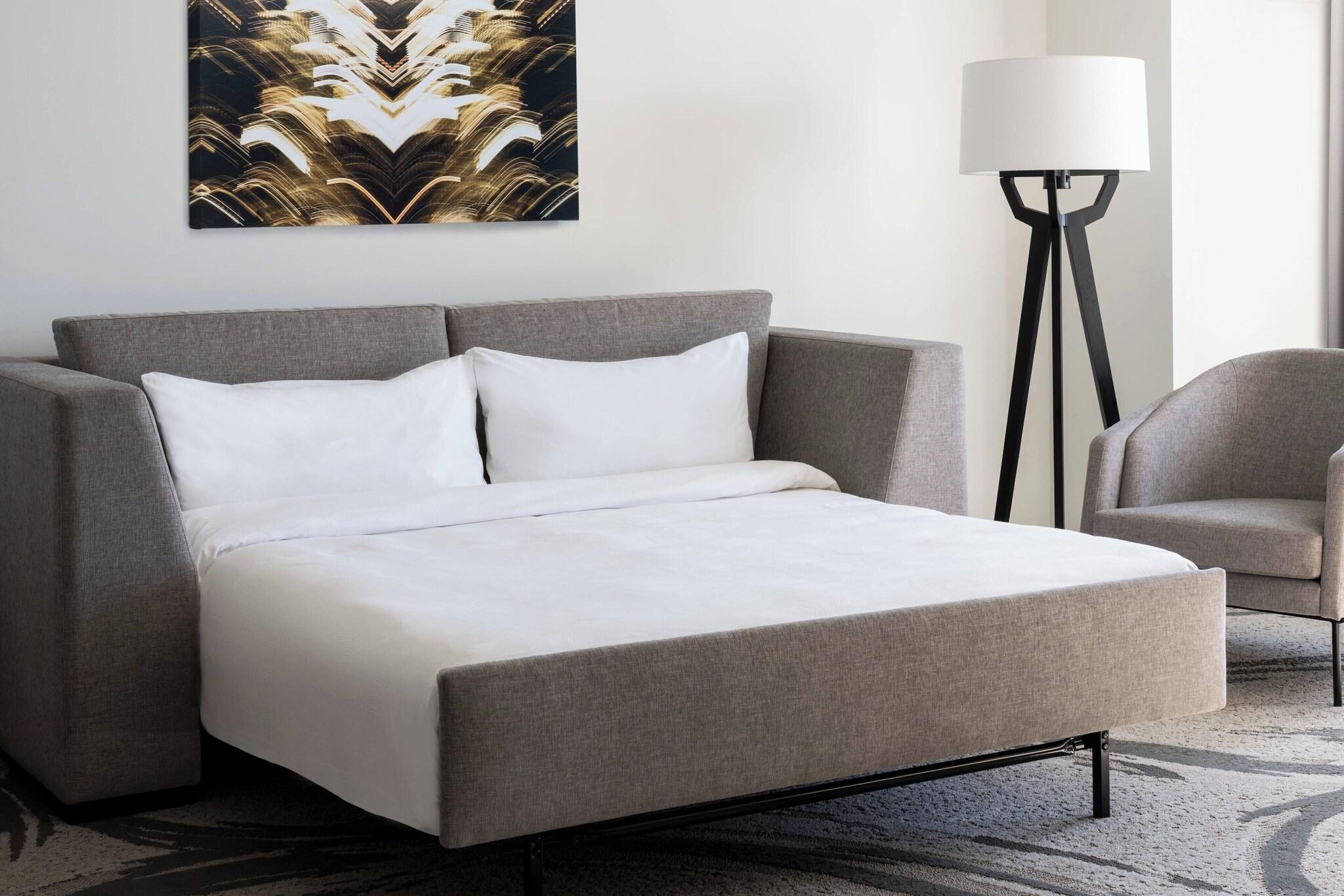 Suite King Bed One Bedroom 
