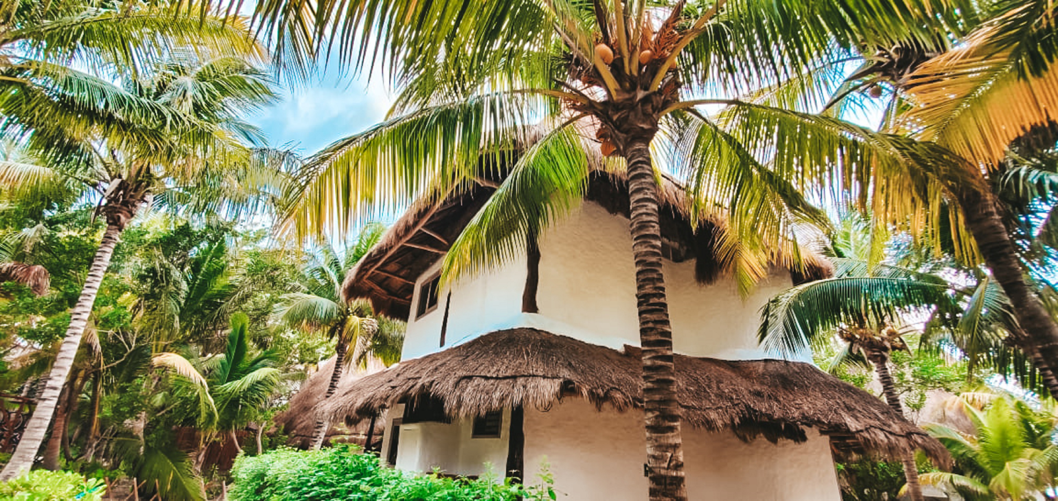 Junior Suite with Views