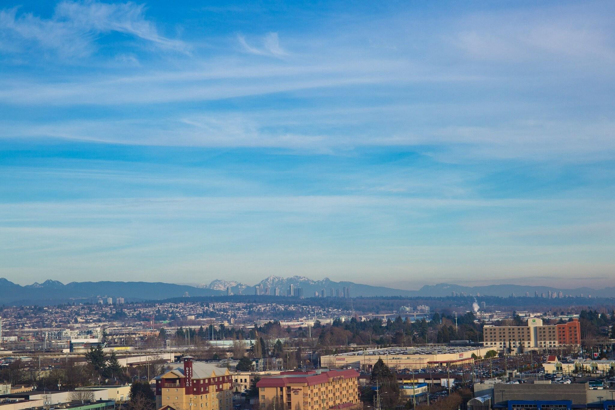 Suite King Bed One Bedroom 
