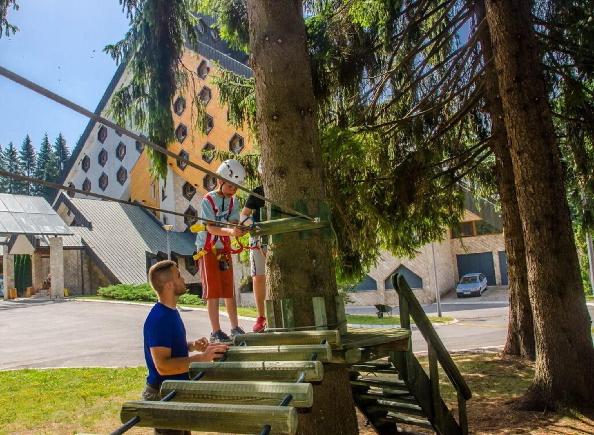 Sports and Entertainment