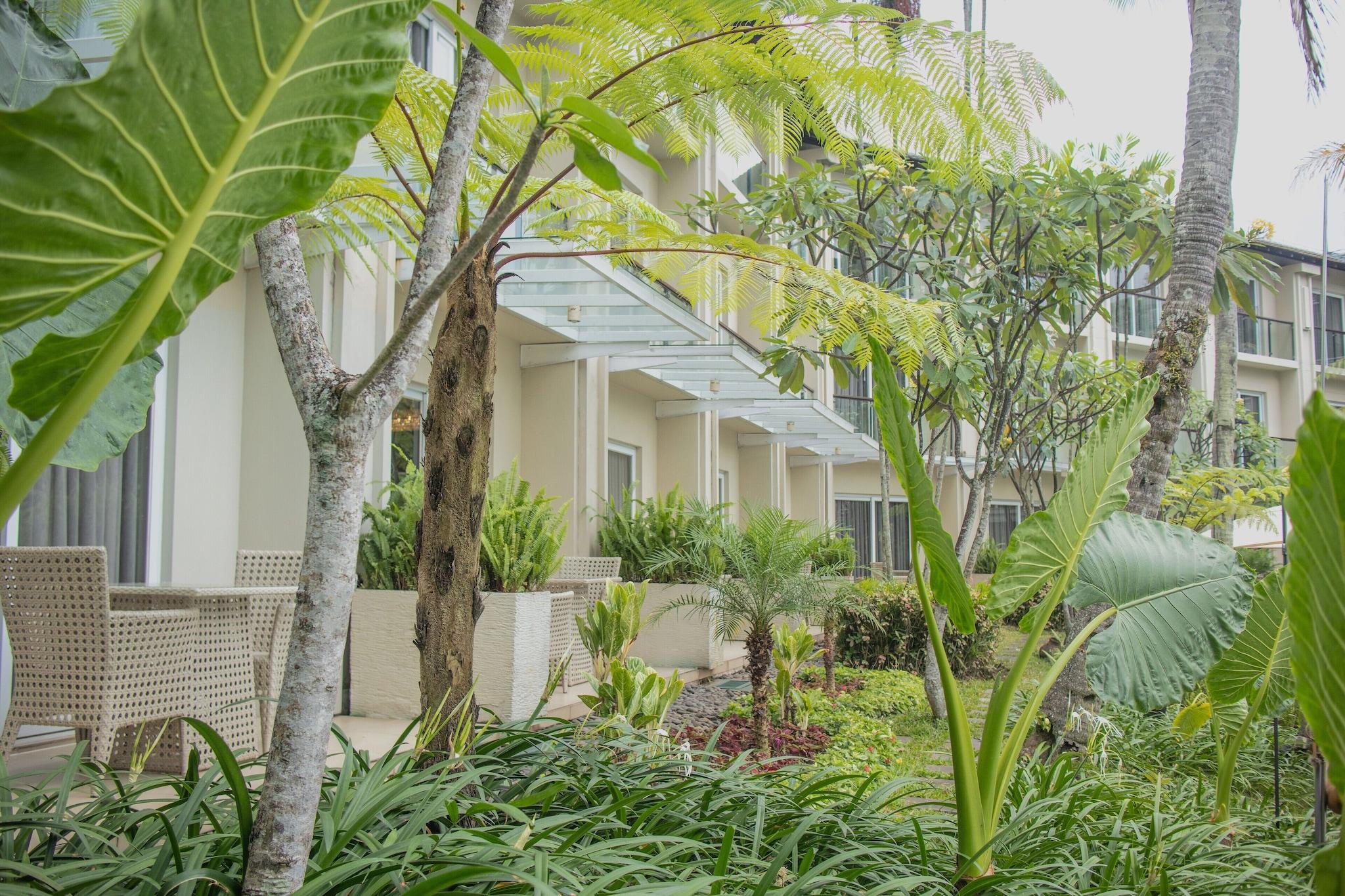 Double Executive King Bed