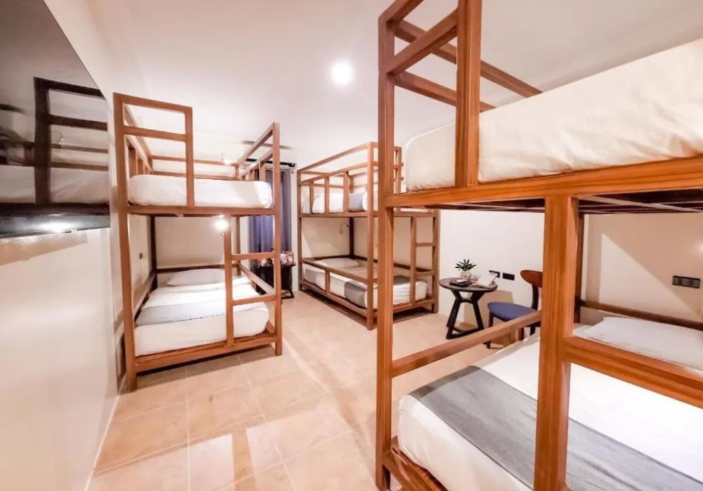 Family Room Bunk Bed