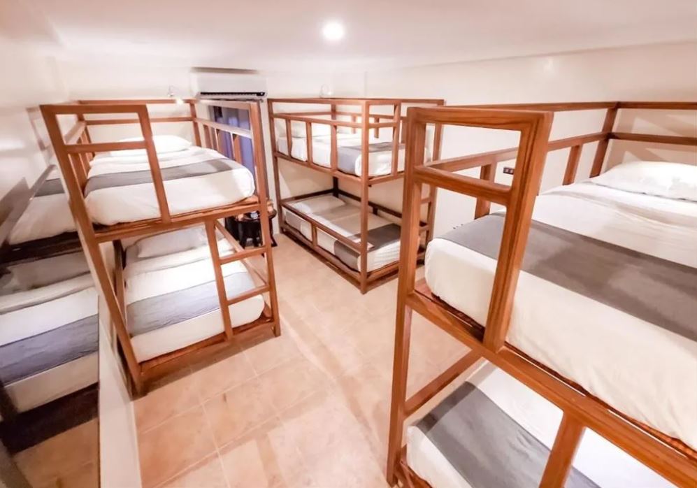 Family Room Bunk Bed