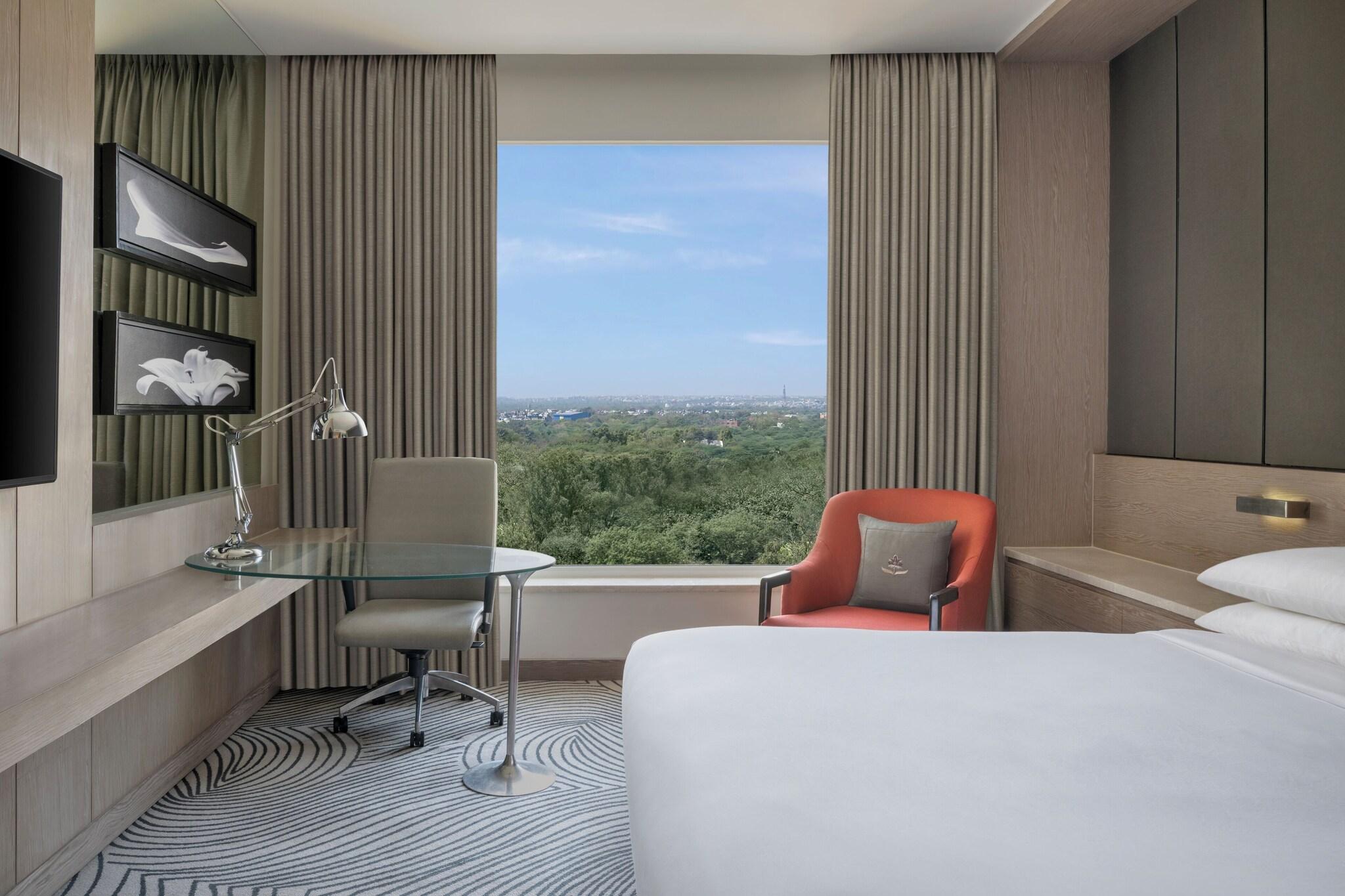 Double Executive City View
