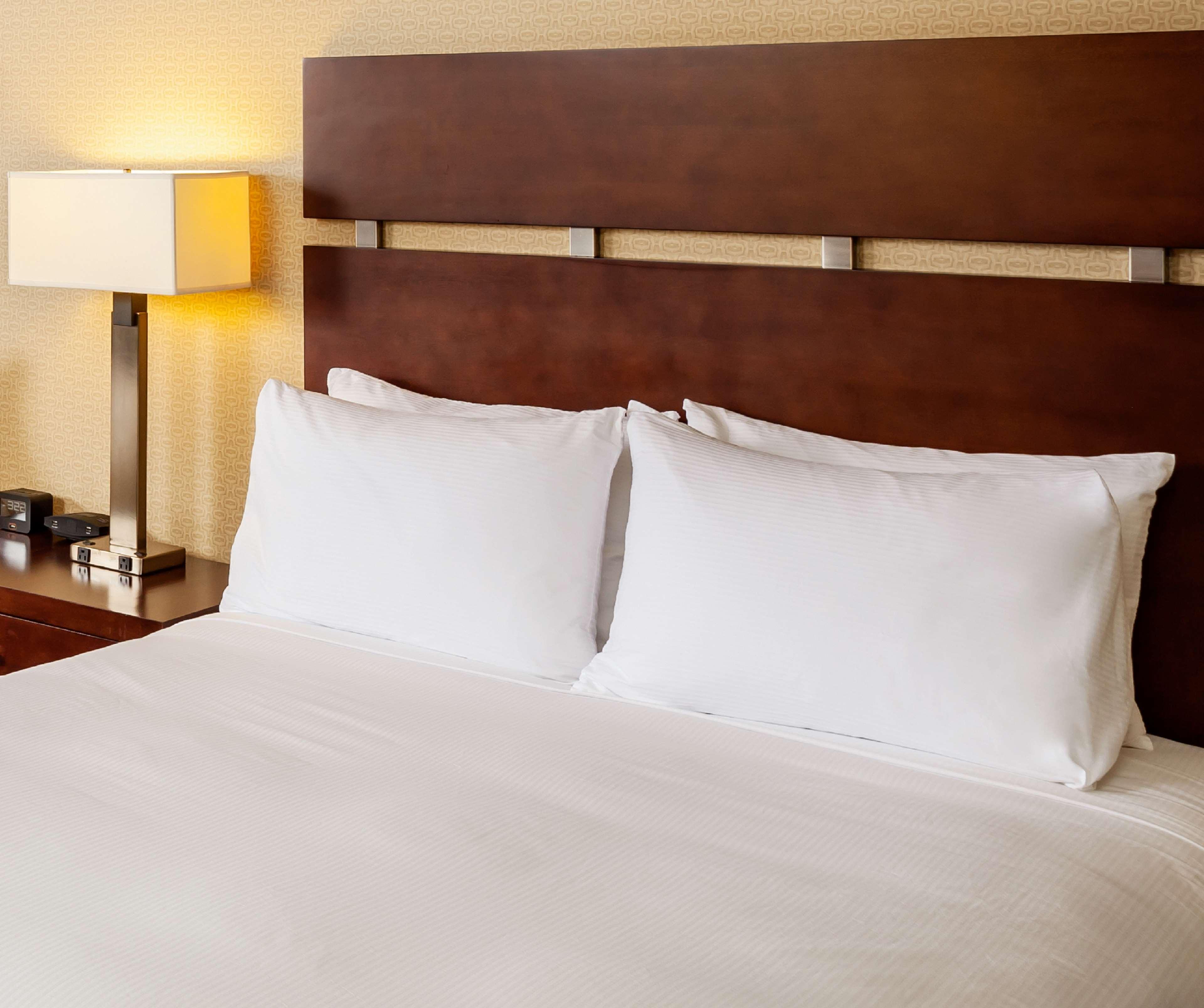 Double Deluxe Queen Bed