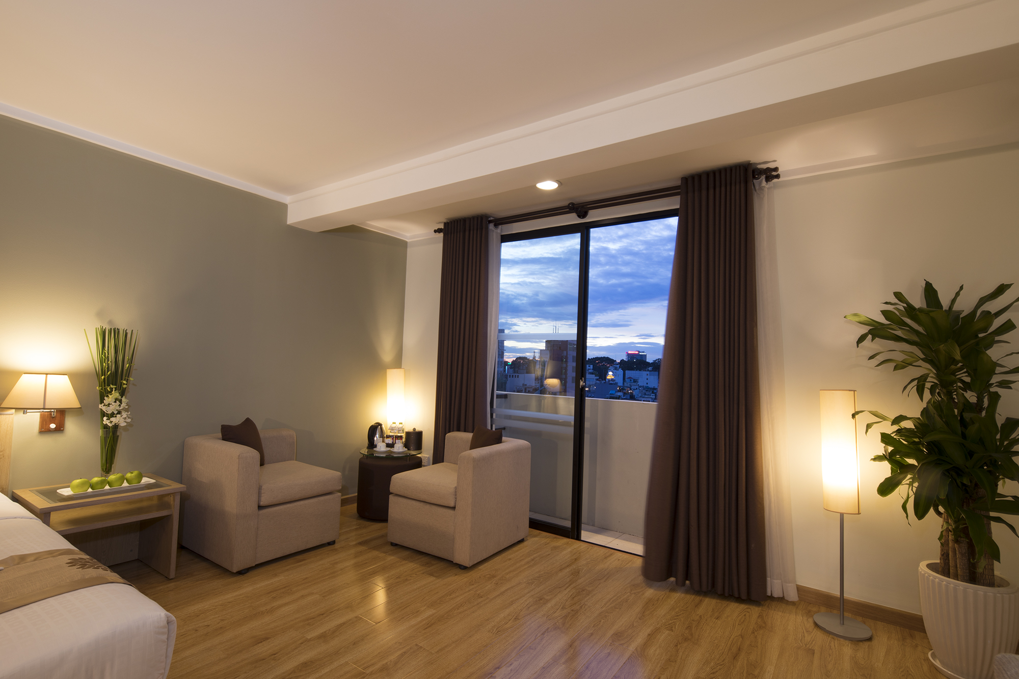 Single Deluxe Park View