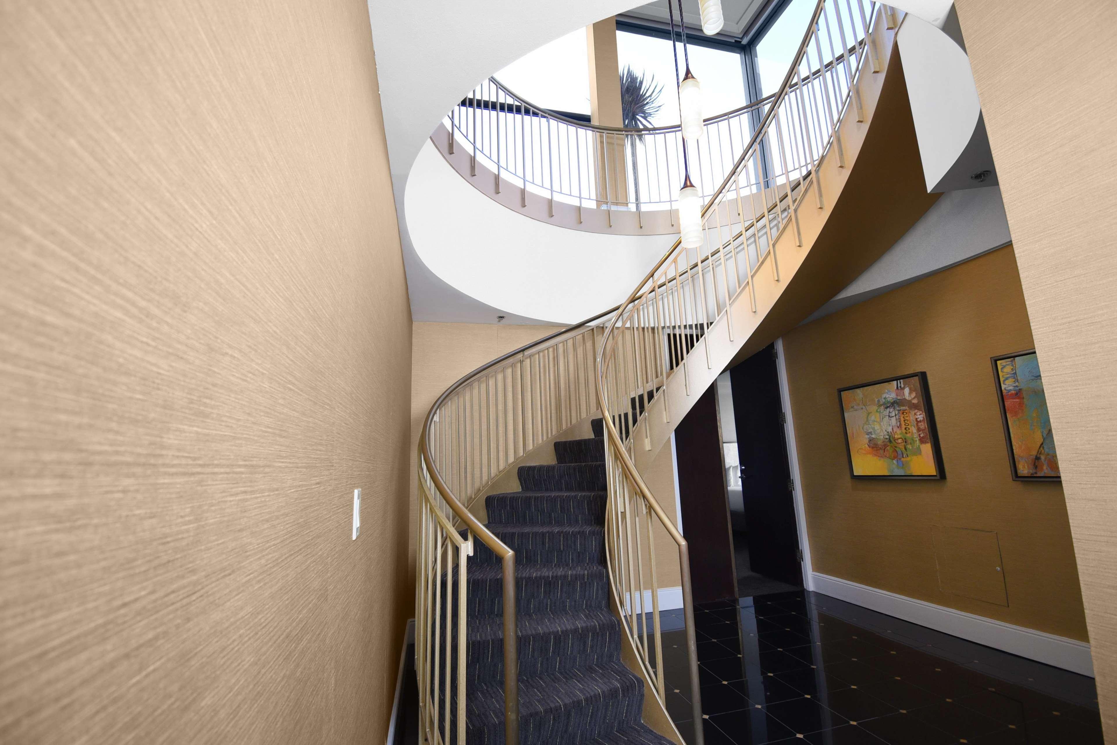 Junior Suite Accessible