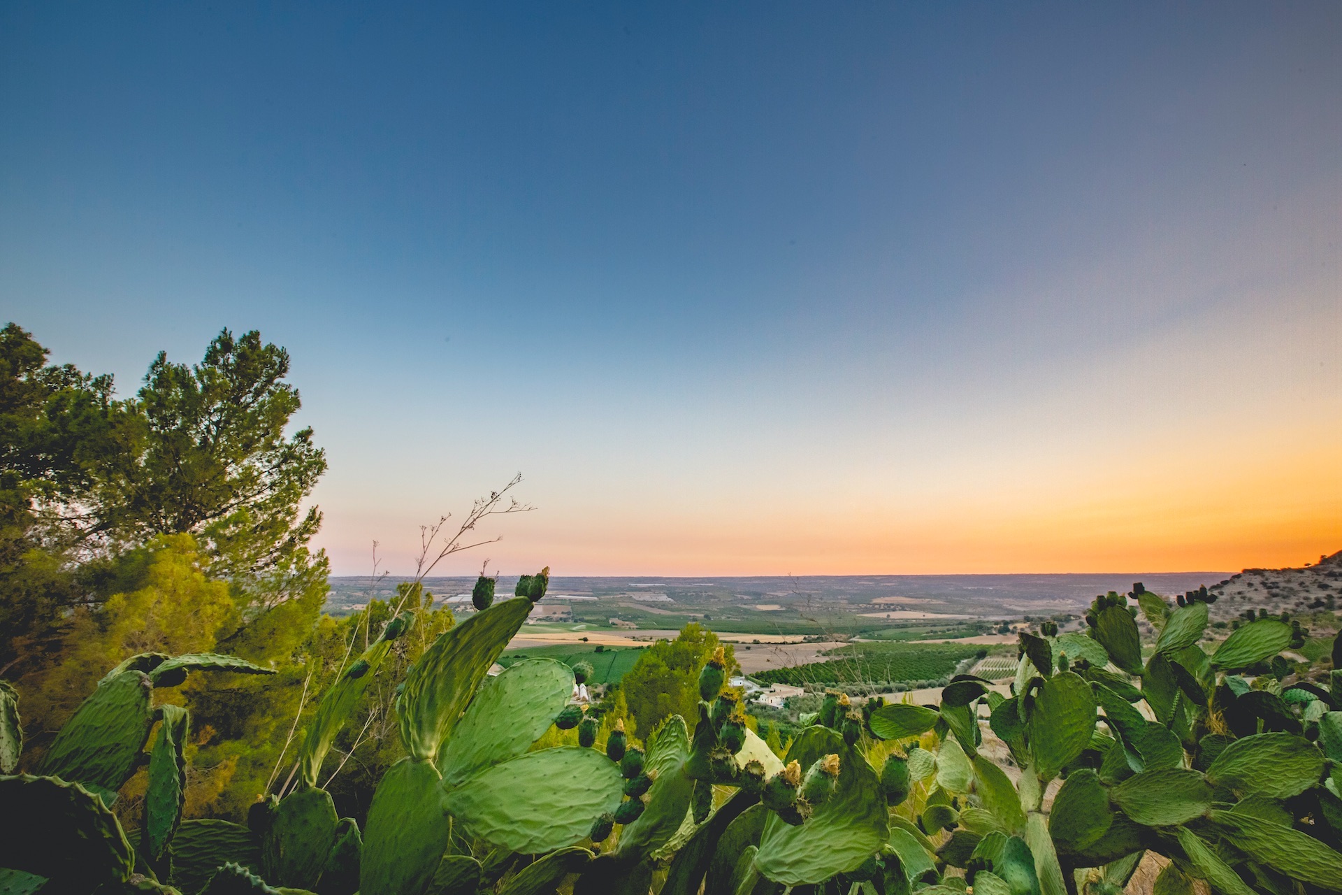 Apartment One Bedroom