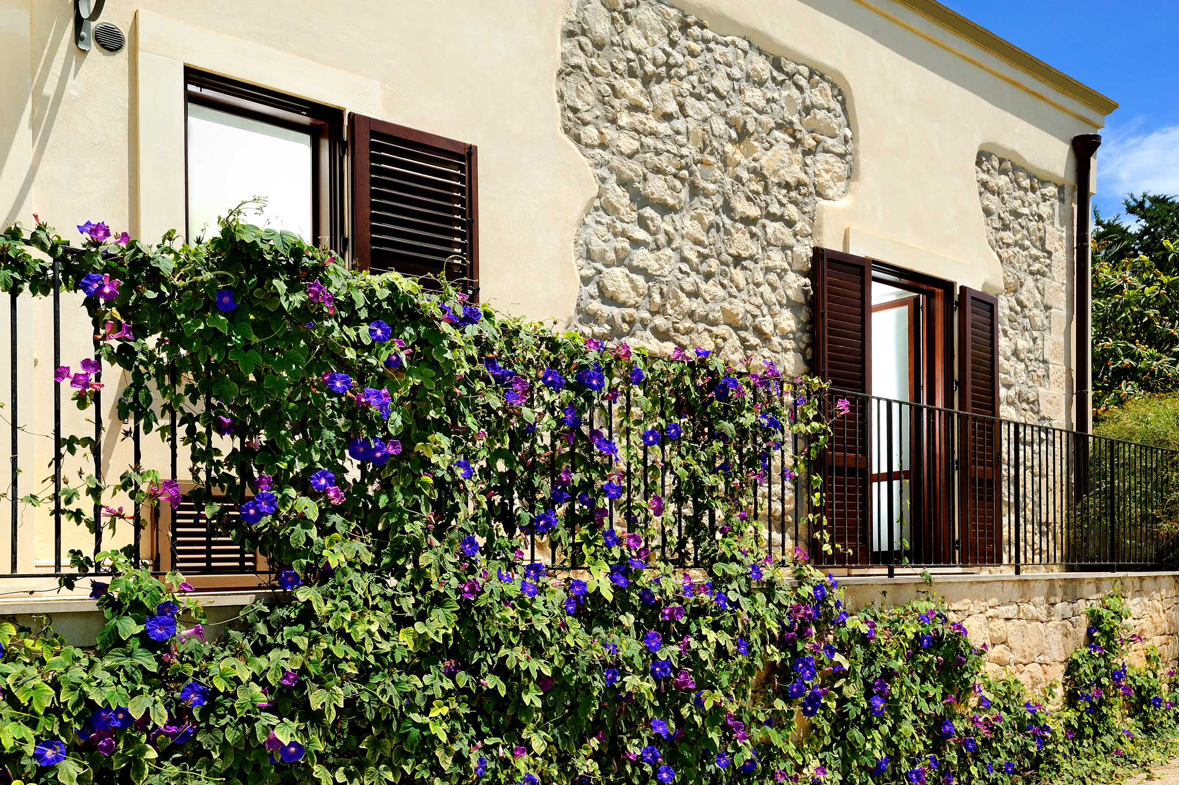 Apartment One Bedroom