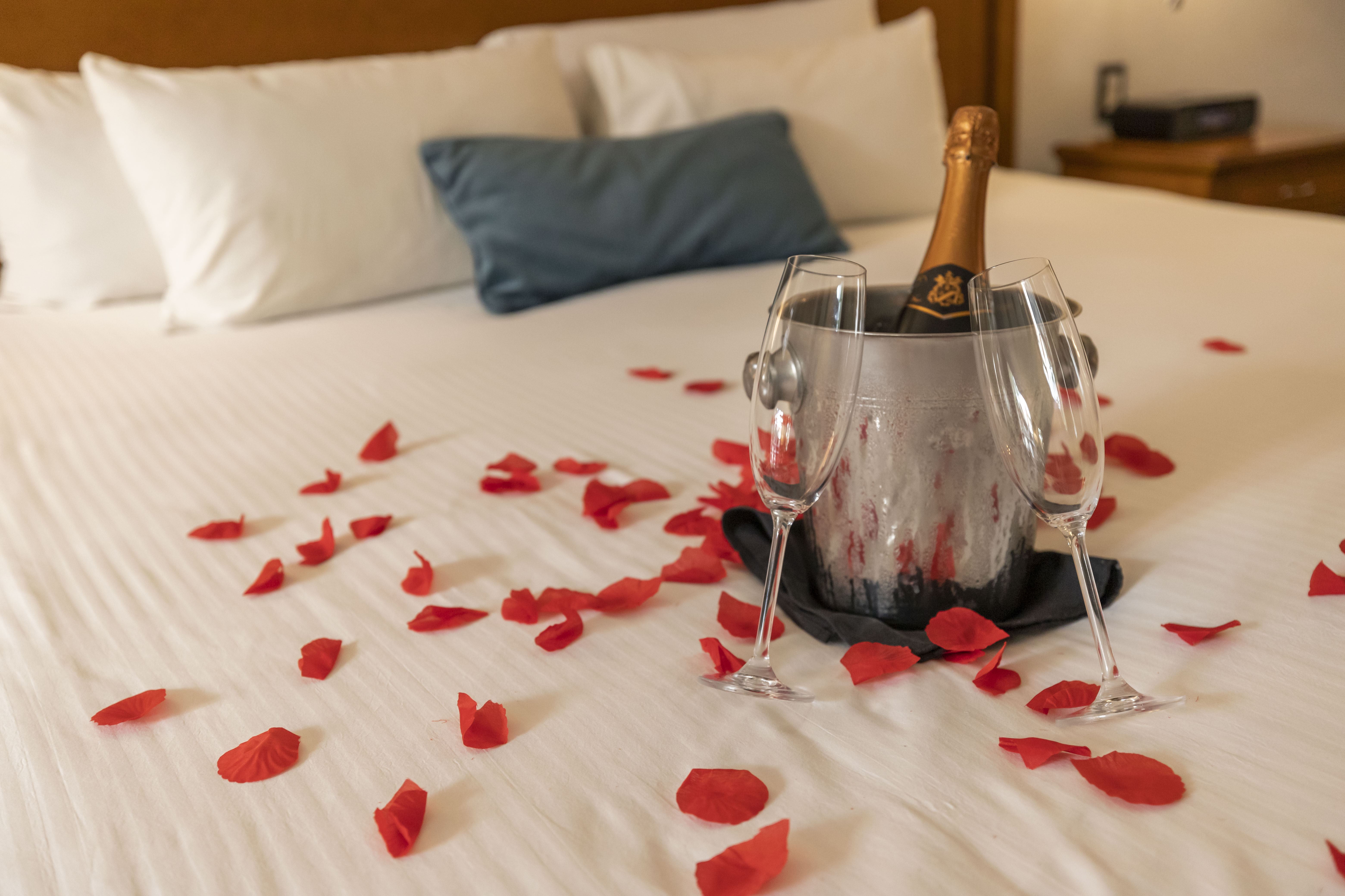 Suite Without Balcony