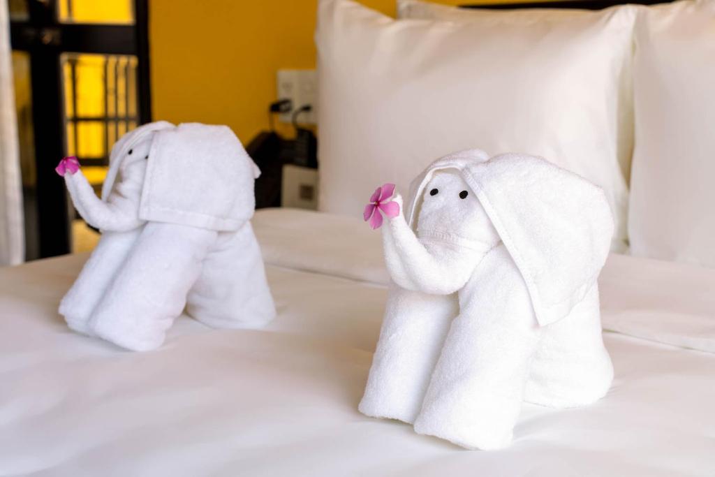 Family Room Connecting Room