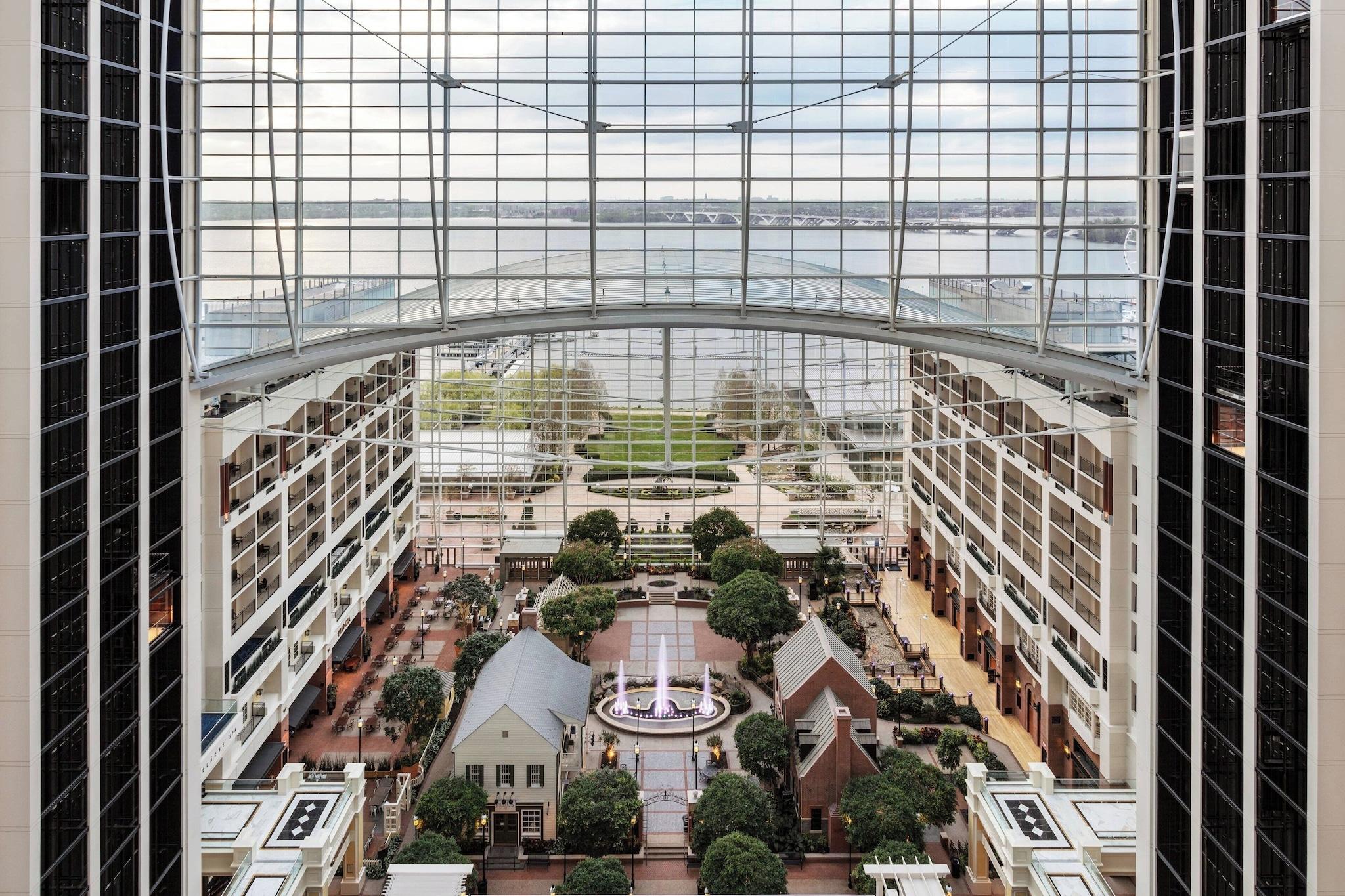 Suite King Bed One Bedroom 