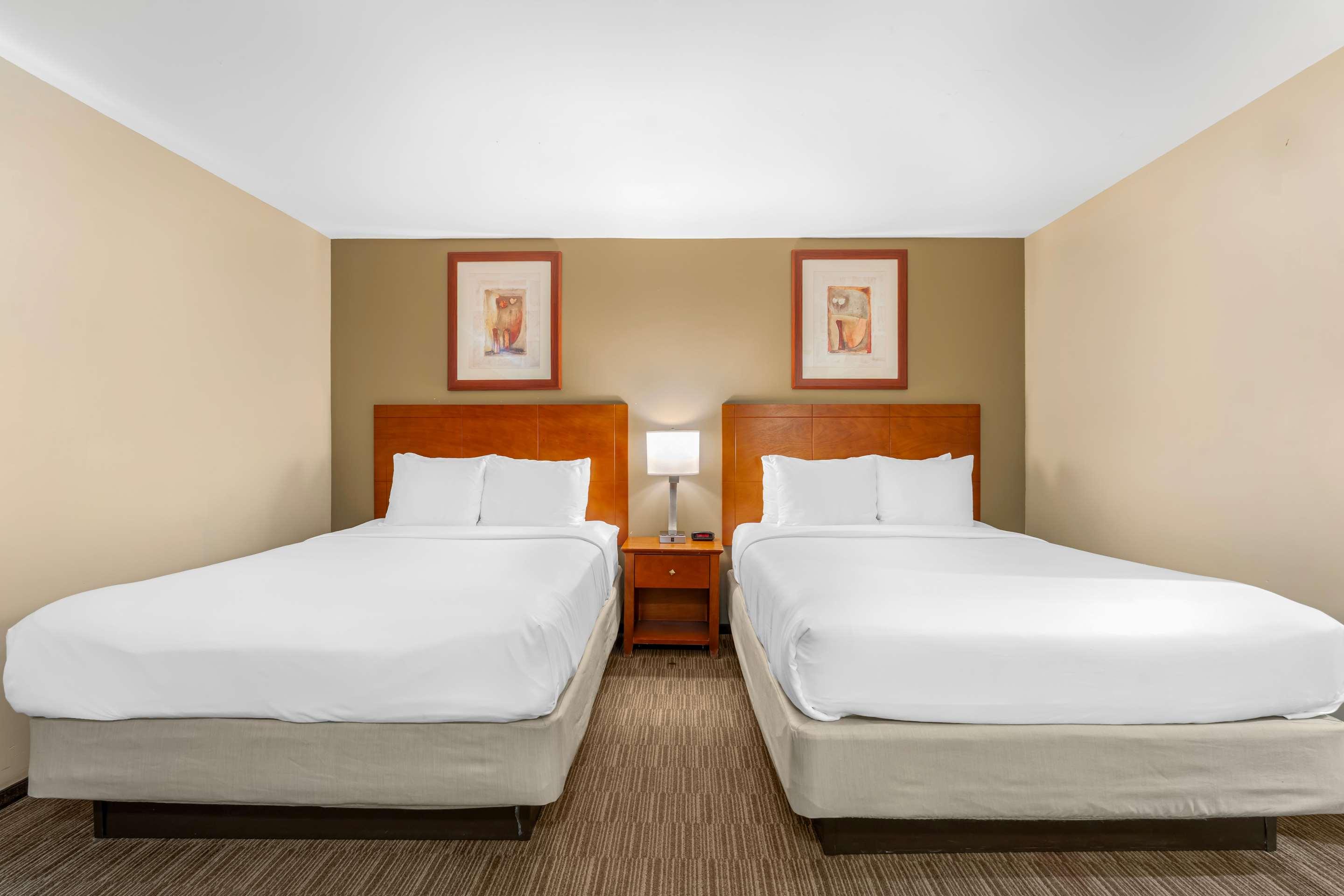 Quadruple Two Queen Beds