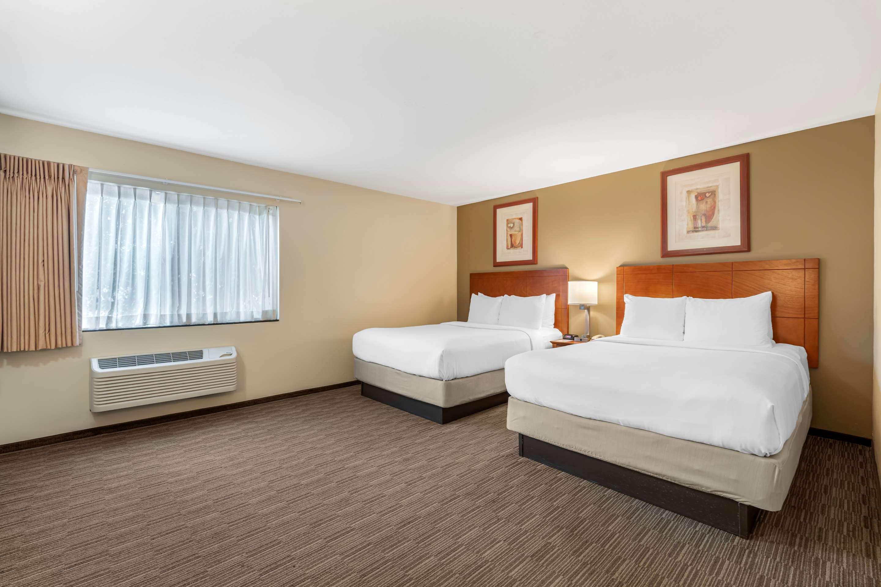 Double Two Queen Beds