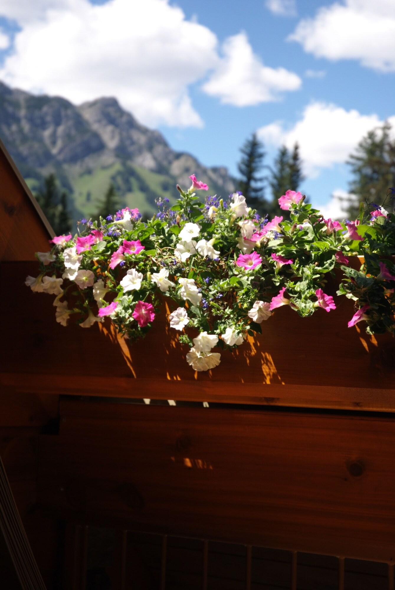 Double Superior with Views