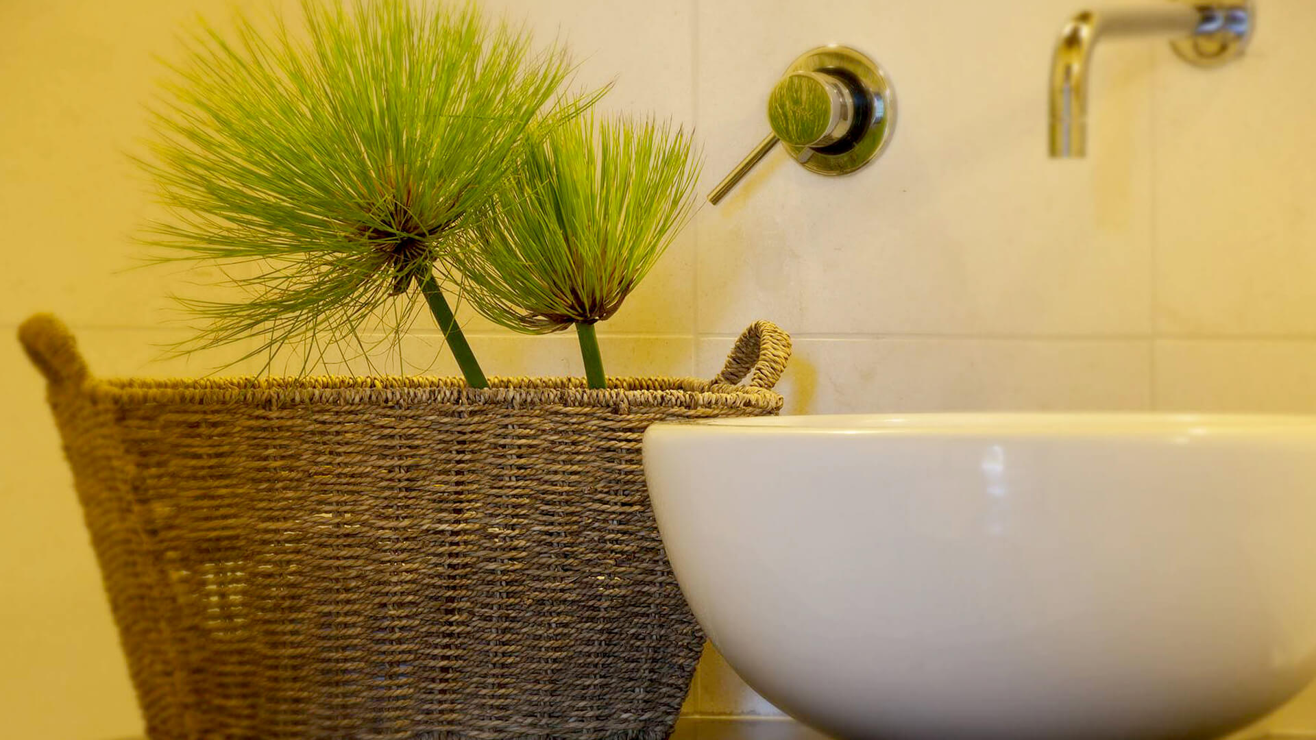 Double or Twin Classic