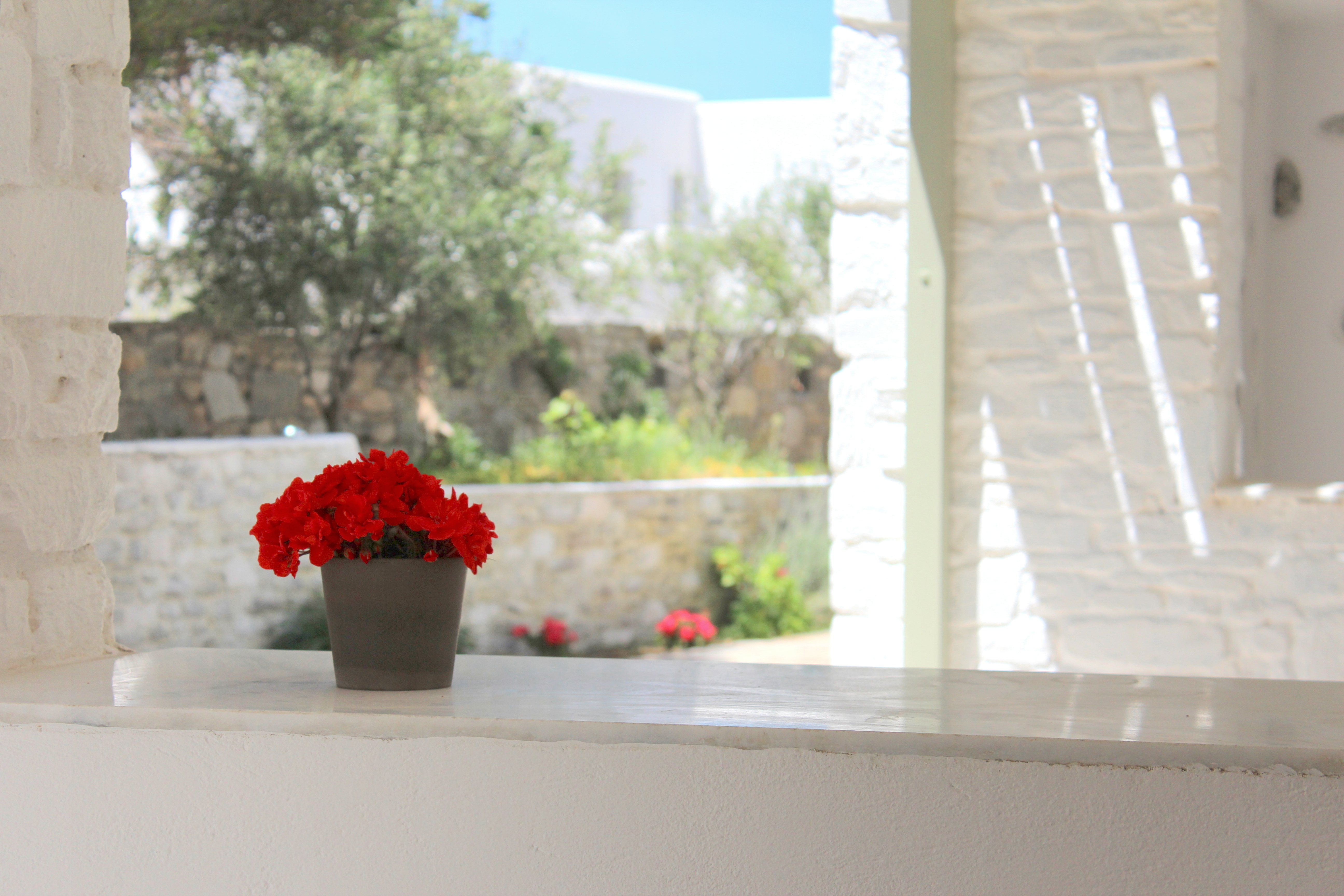 Junior Suite Garden View