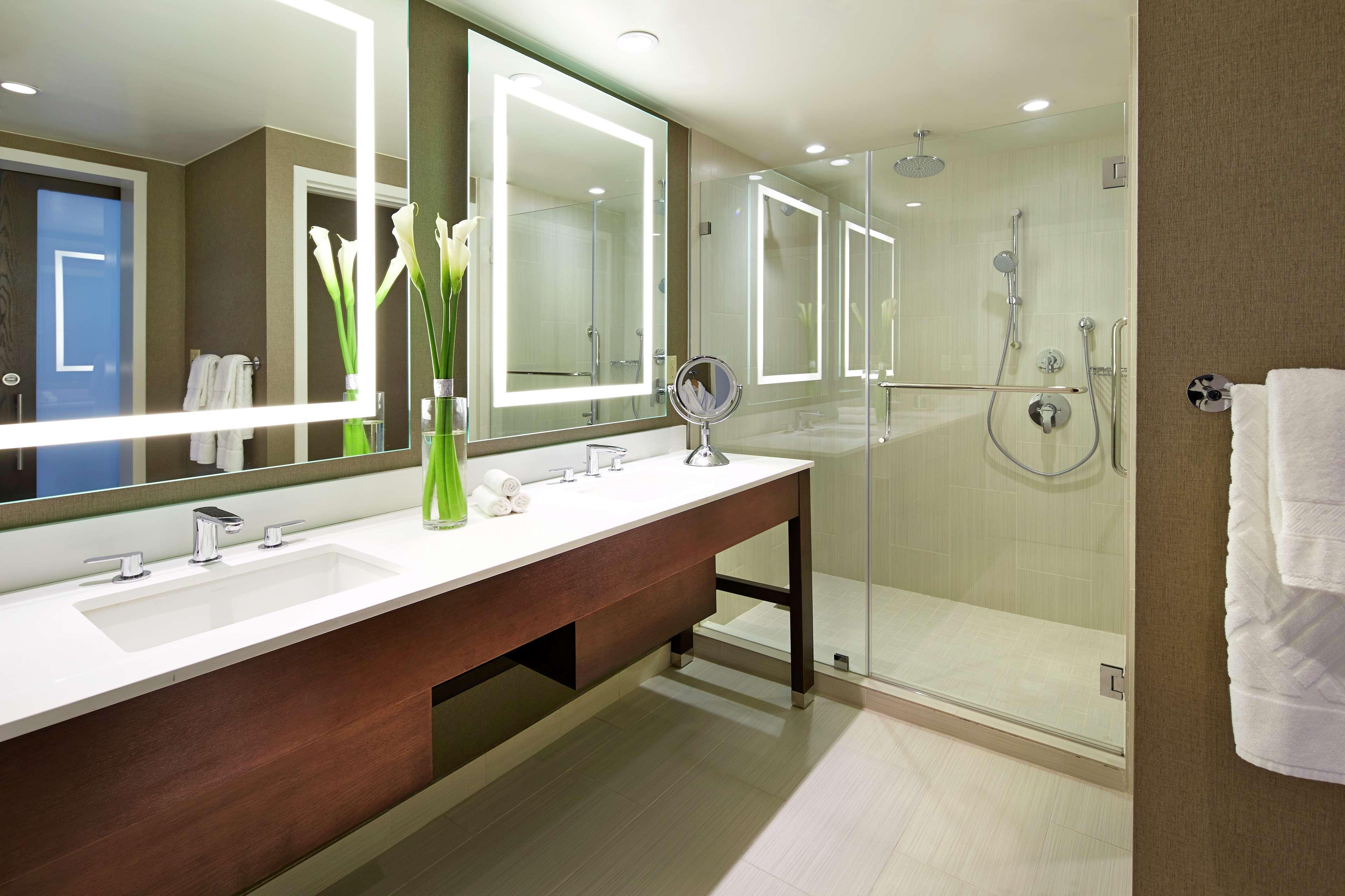 Suite King Bed One Bedroom 